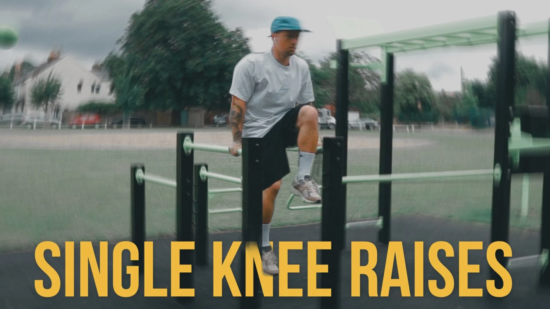 Dip bar abs - single leg knee raises thumbnail.JPG