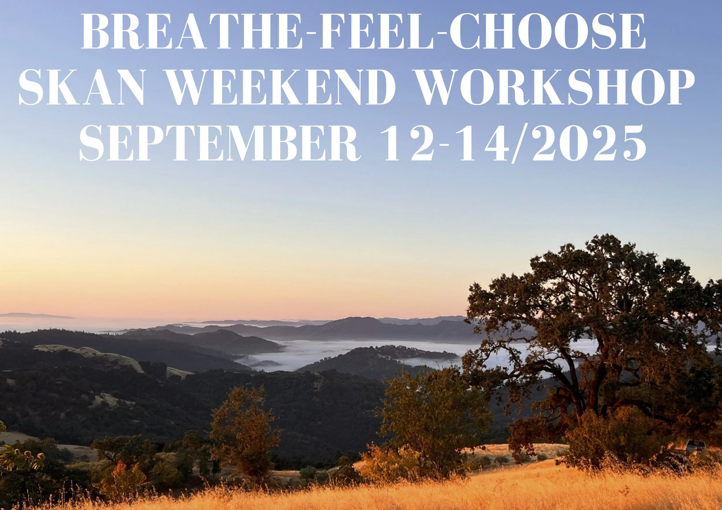 BREATHE-FEEL-CHOOSE SKAN WEEKEND WORKSHOP