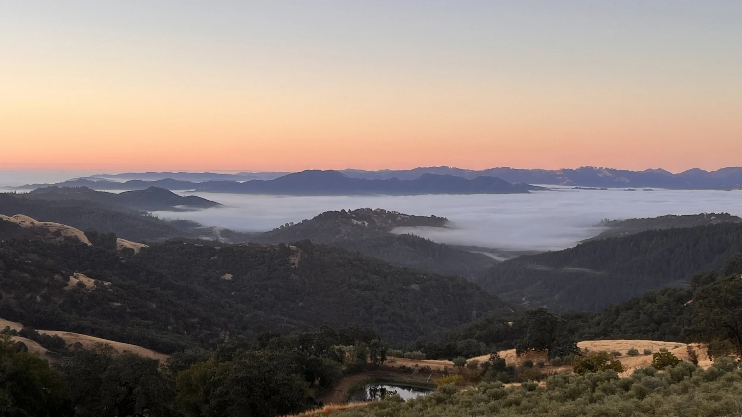 Skan Weekend workshop