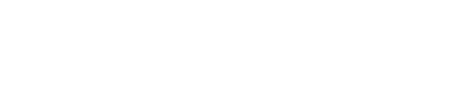 Trans-Border Transport Consultants Ltd