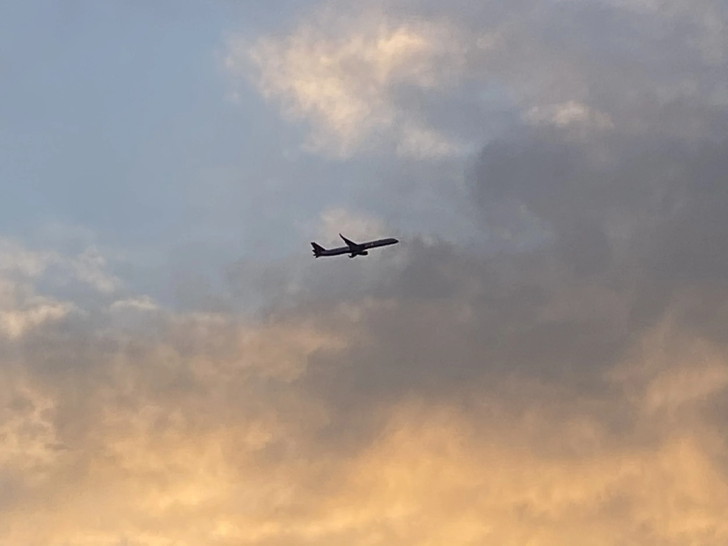 Click HERE to browse our gallery