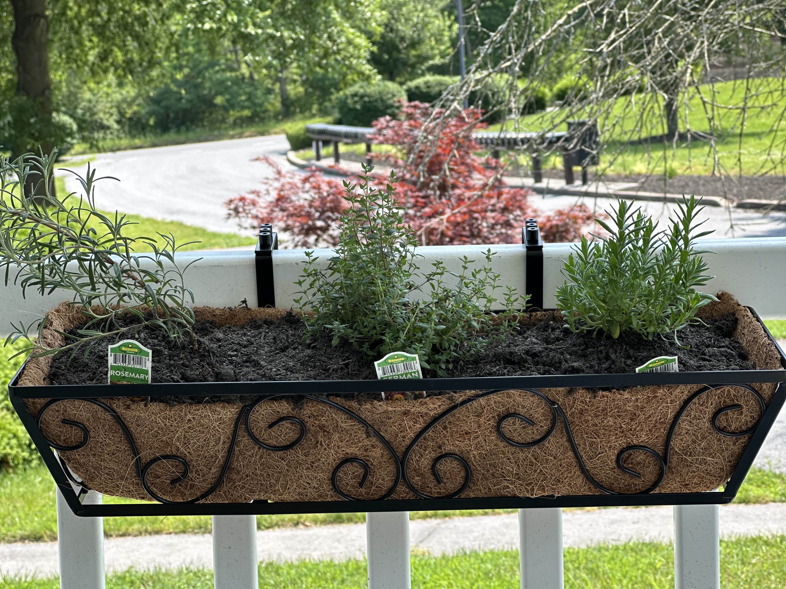 Herb Garden Tales