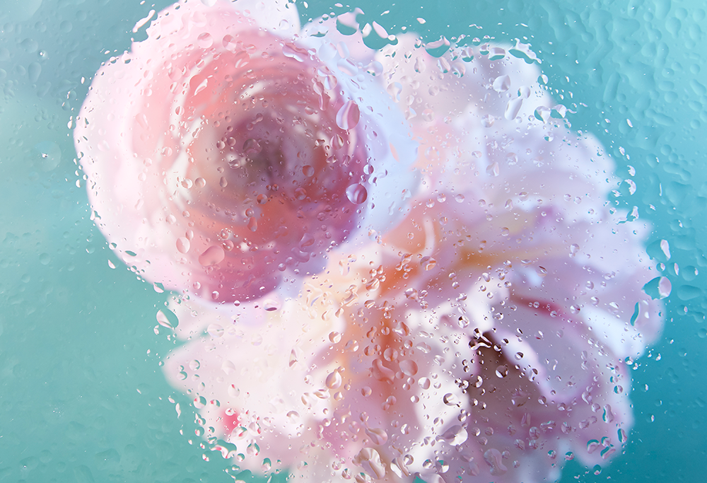 SOC_Textural_Drops_003 copy.png