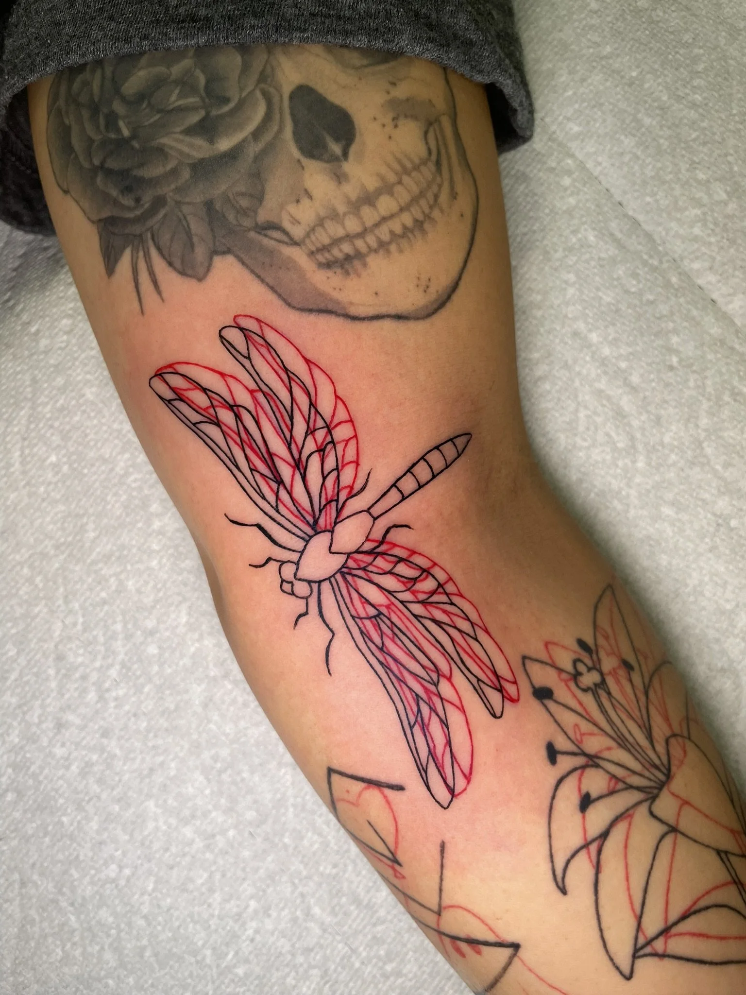 3d line art of a dragonfly