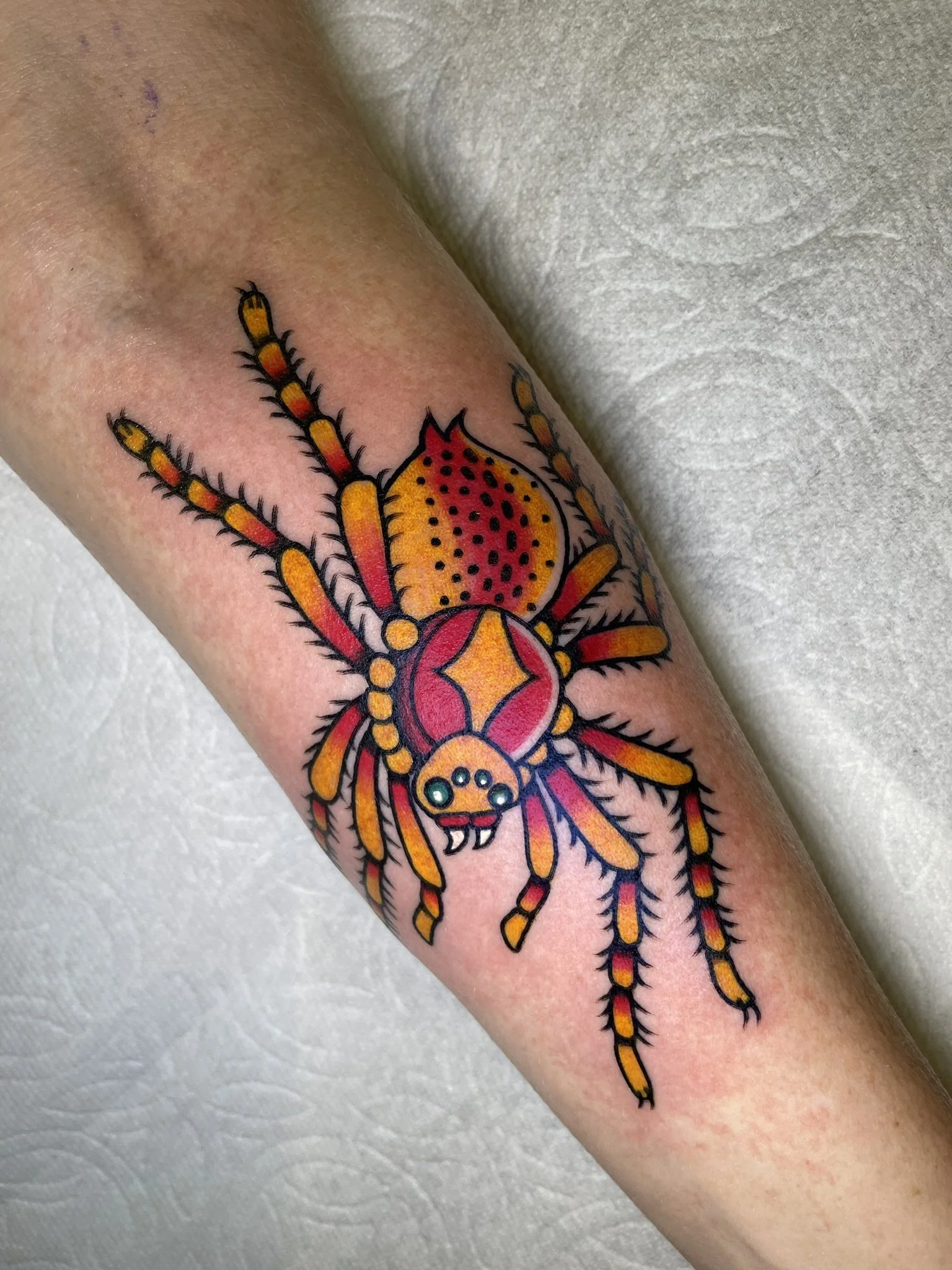Colorful spider with black dots and red and yellow patterns