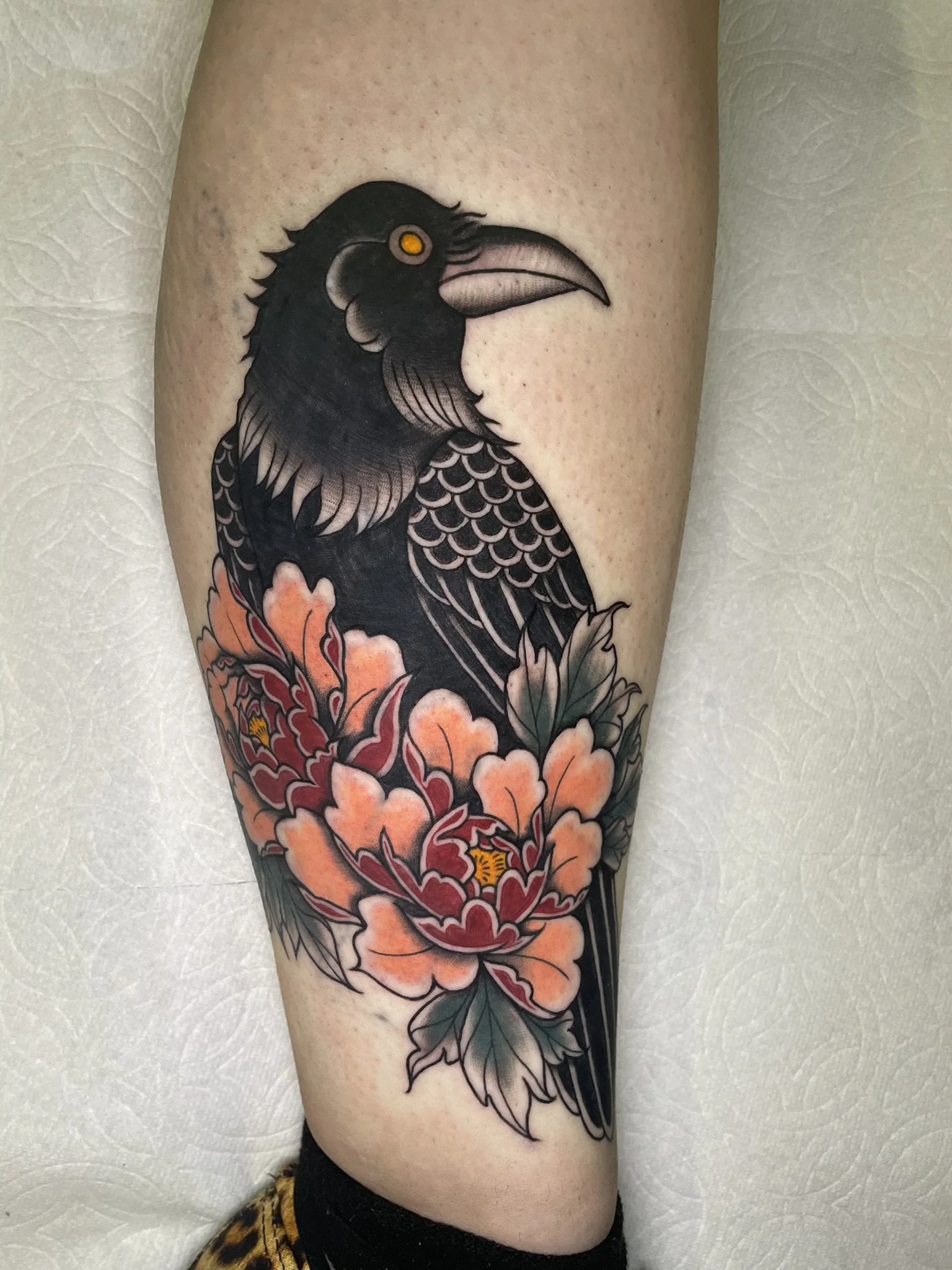 A crow and some colorful flowers in a muted palette