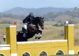 Grand Armee jumping with Tim at Scone International Horse Trials in 2011