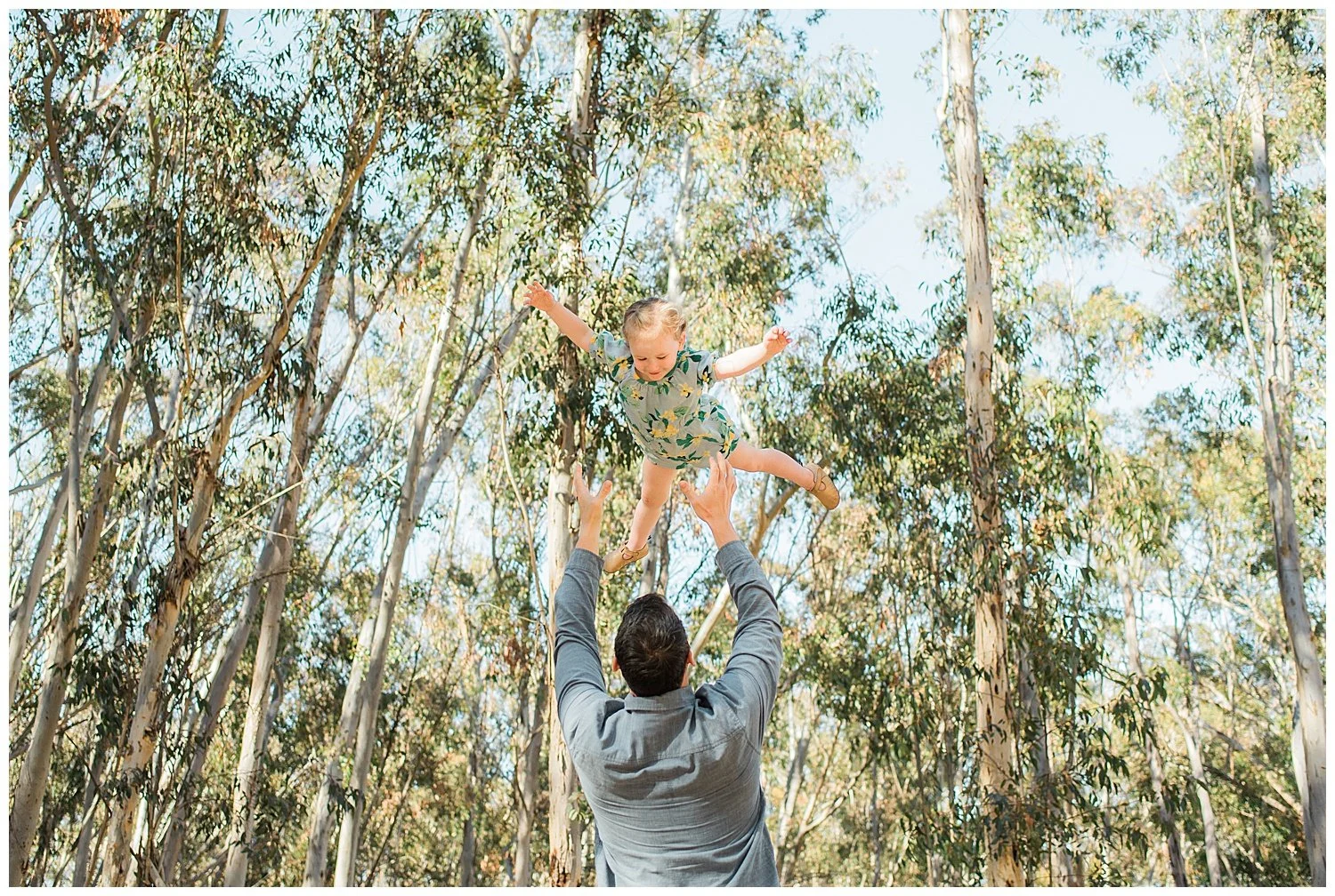 LA JOLLA PHOTOGRAPHER | EUCALYPTUS GROVE_0001.jpg