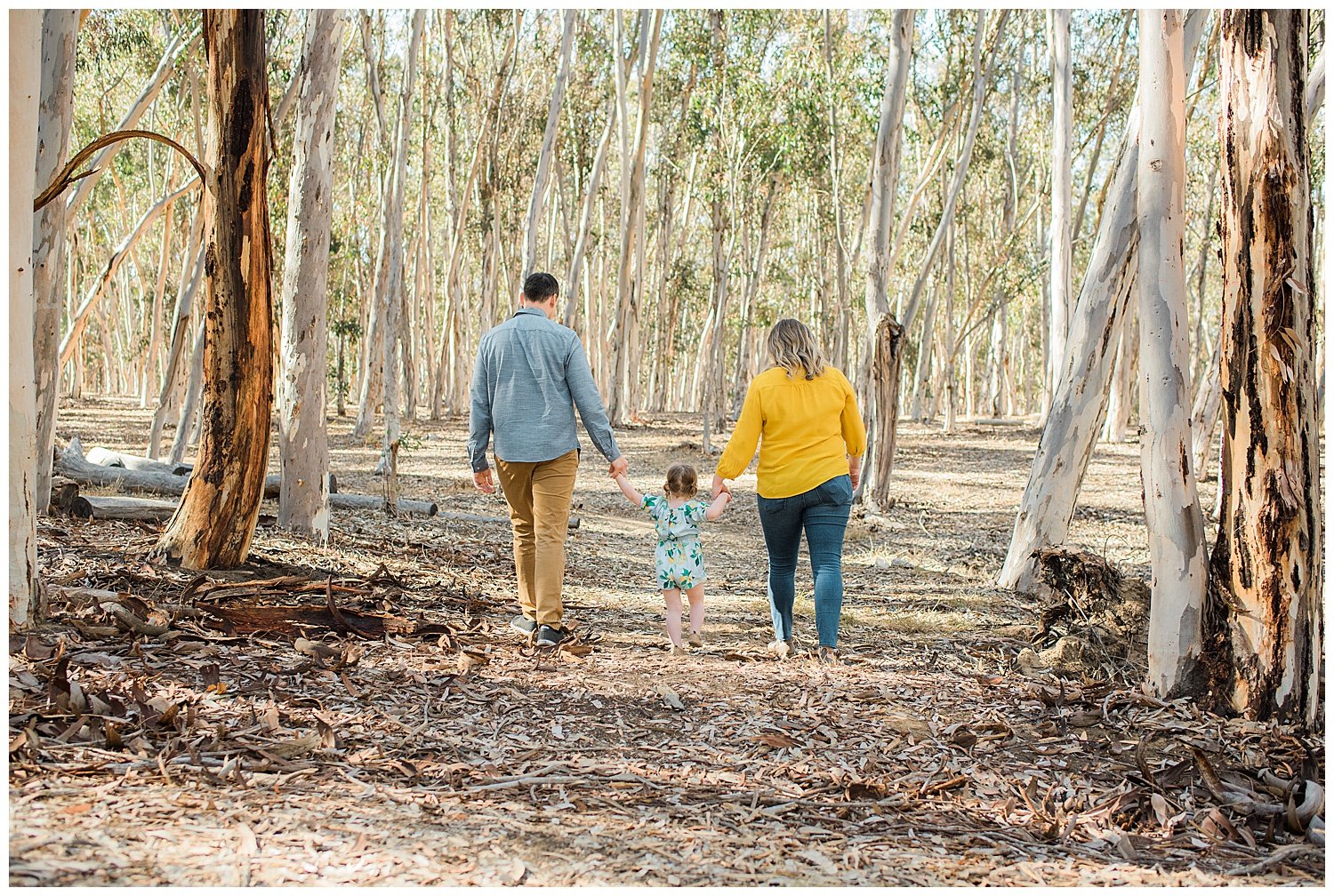 LA JOLLA PHOTOGRAPHER | EUCALYPTUS GROVE_0002.jpg