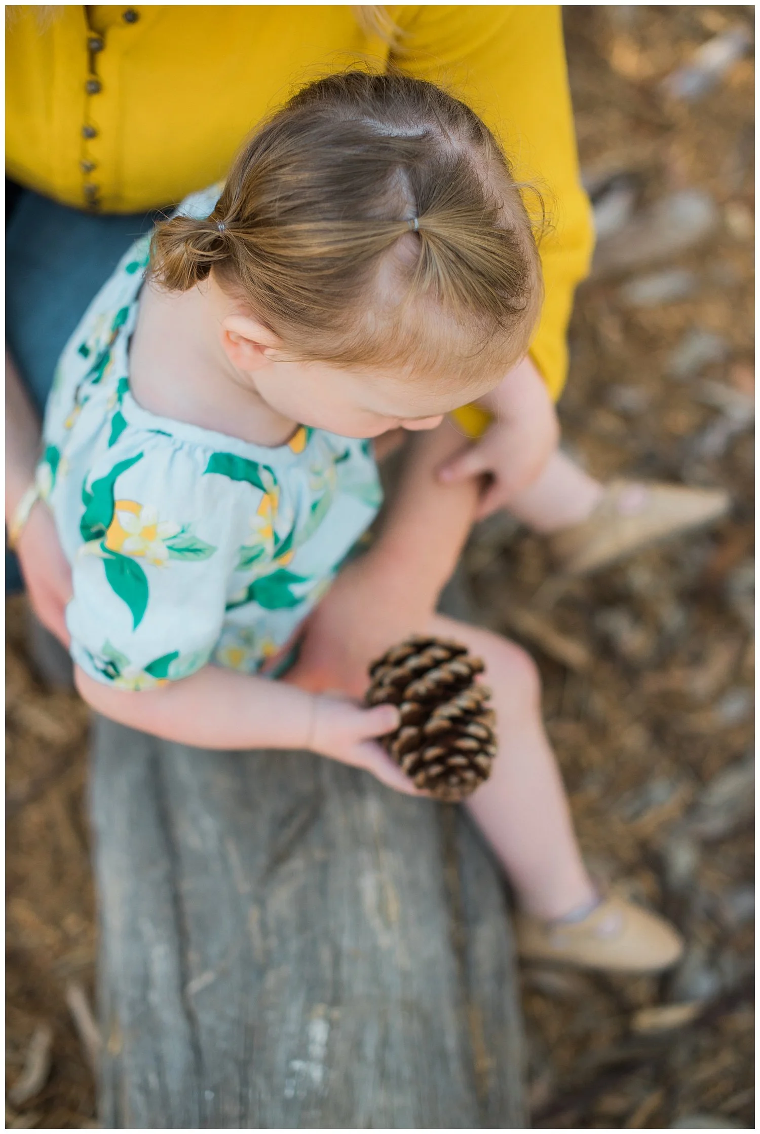 LA JOLLA PHOTOGRAPHER | EUCALYPTUS GROVE_0006.jpg