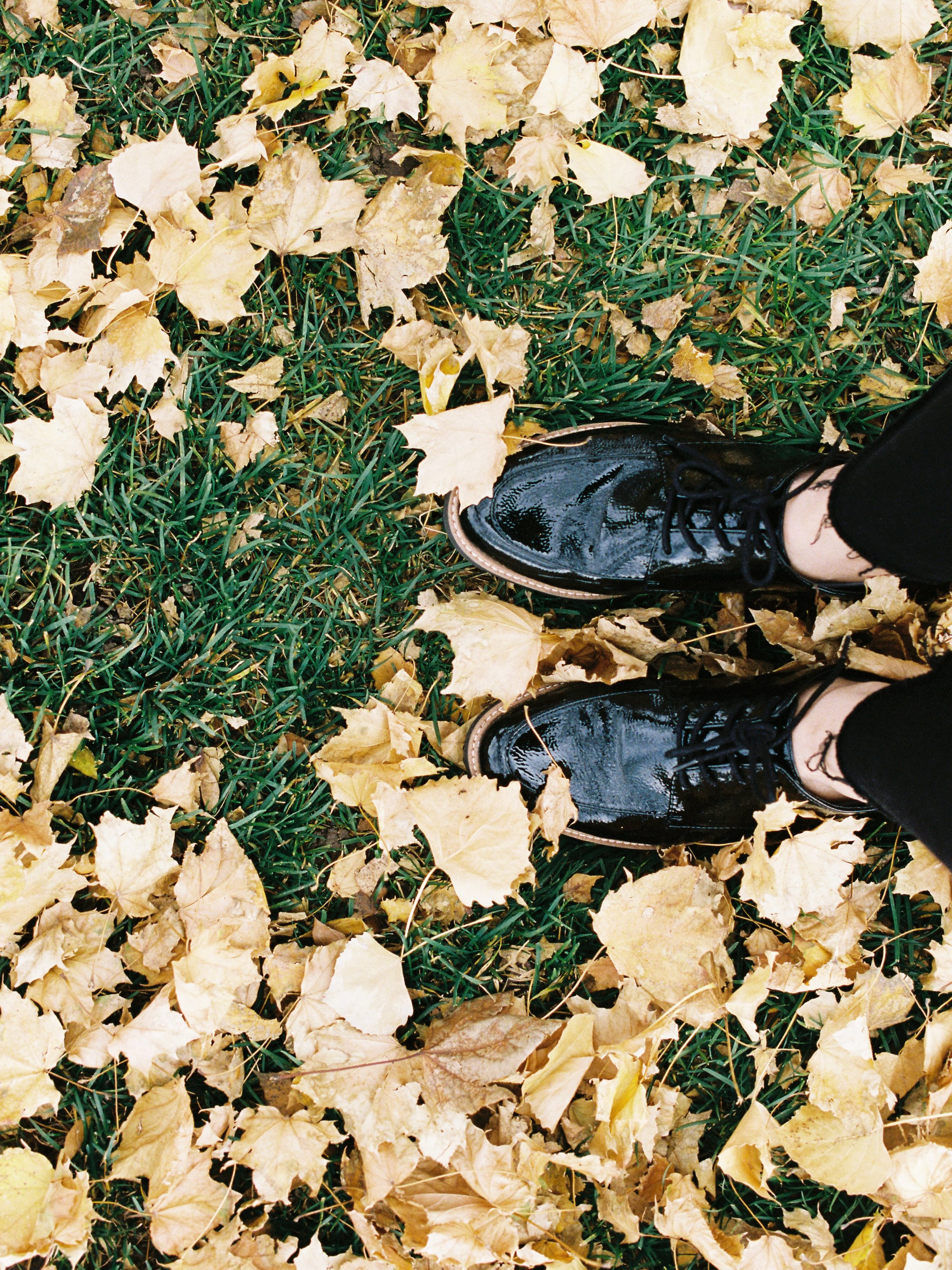 Today is the Fall Equinox.

The day when light and dark come into balance.
And from here, the days will slowly begin to get darker.

I used to hate that part.

I loved summer. Long days. Warm nights. Light everywhere.

The dark felt like something to