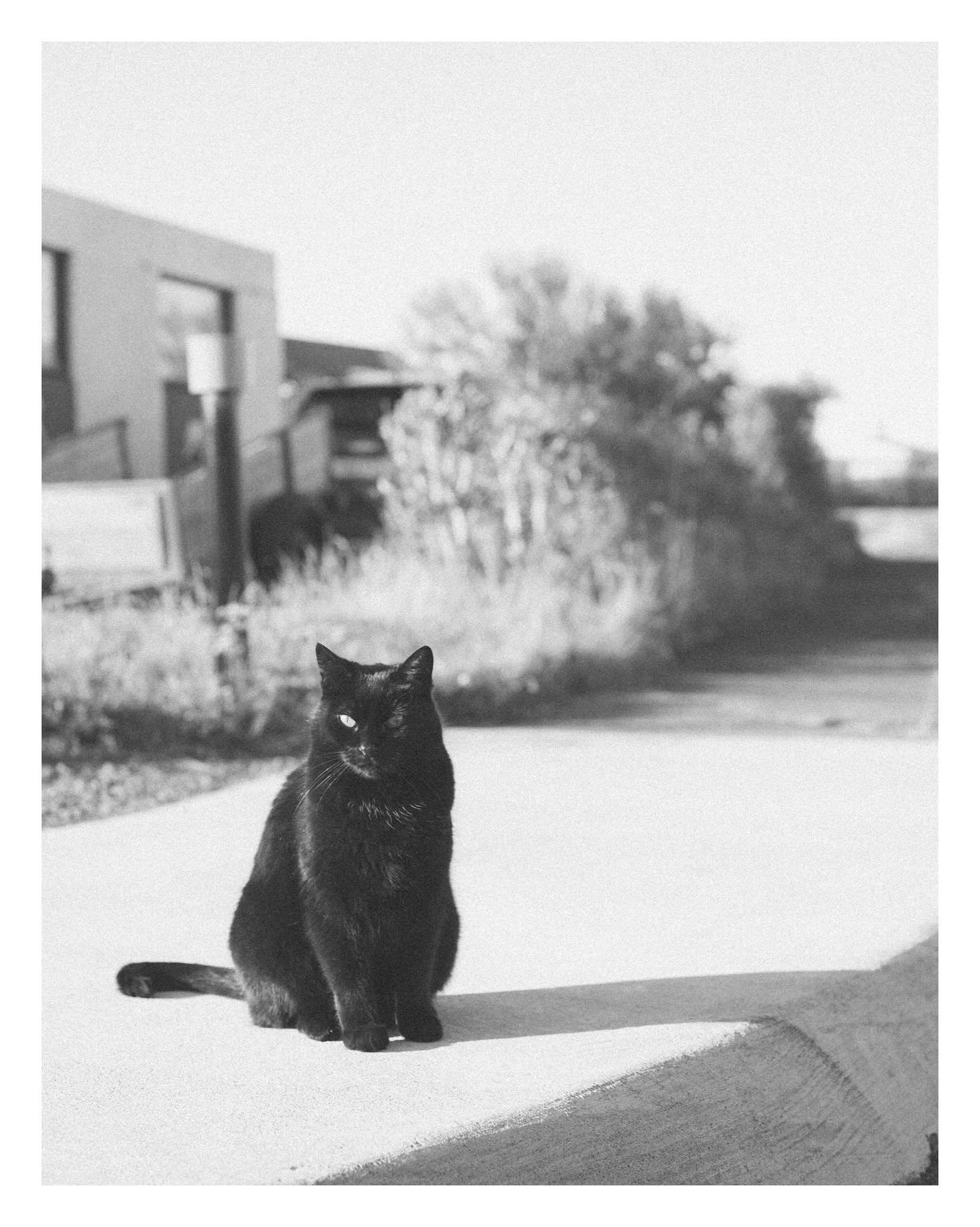 Oct/7/2024
Mini paseo en Bl&ouml;ndu&oacute;s