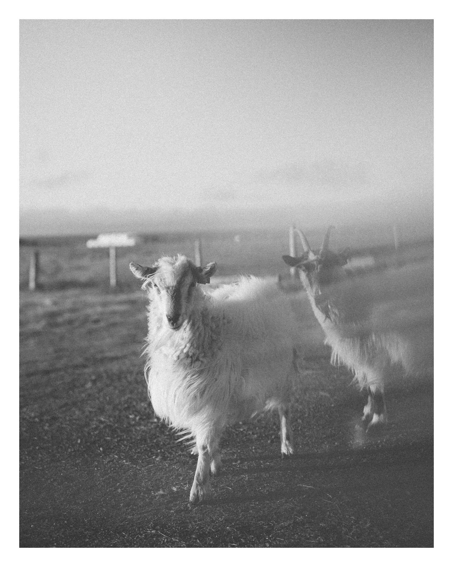 6/oct/2024
@lensbabyusa