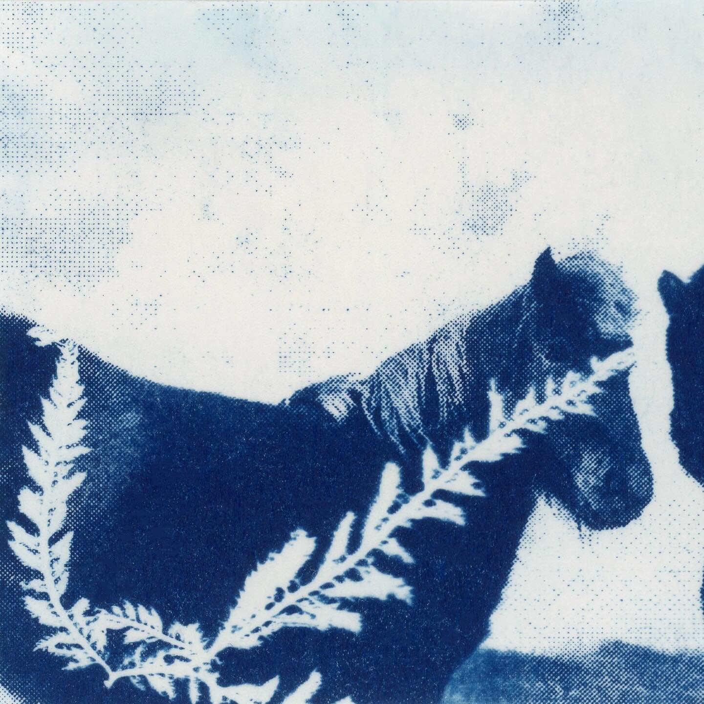 El a&ntilde;o pasado en la residencia de arte NES hice varias impresiones miniaturas para unos mini marcos de fotograf&iacute;a que compr&eacute; en Reykjav&iacute;k, estas minis impresiones son de fotograf&iacute;as que capture explorando el pa&iacu