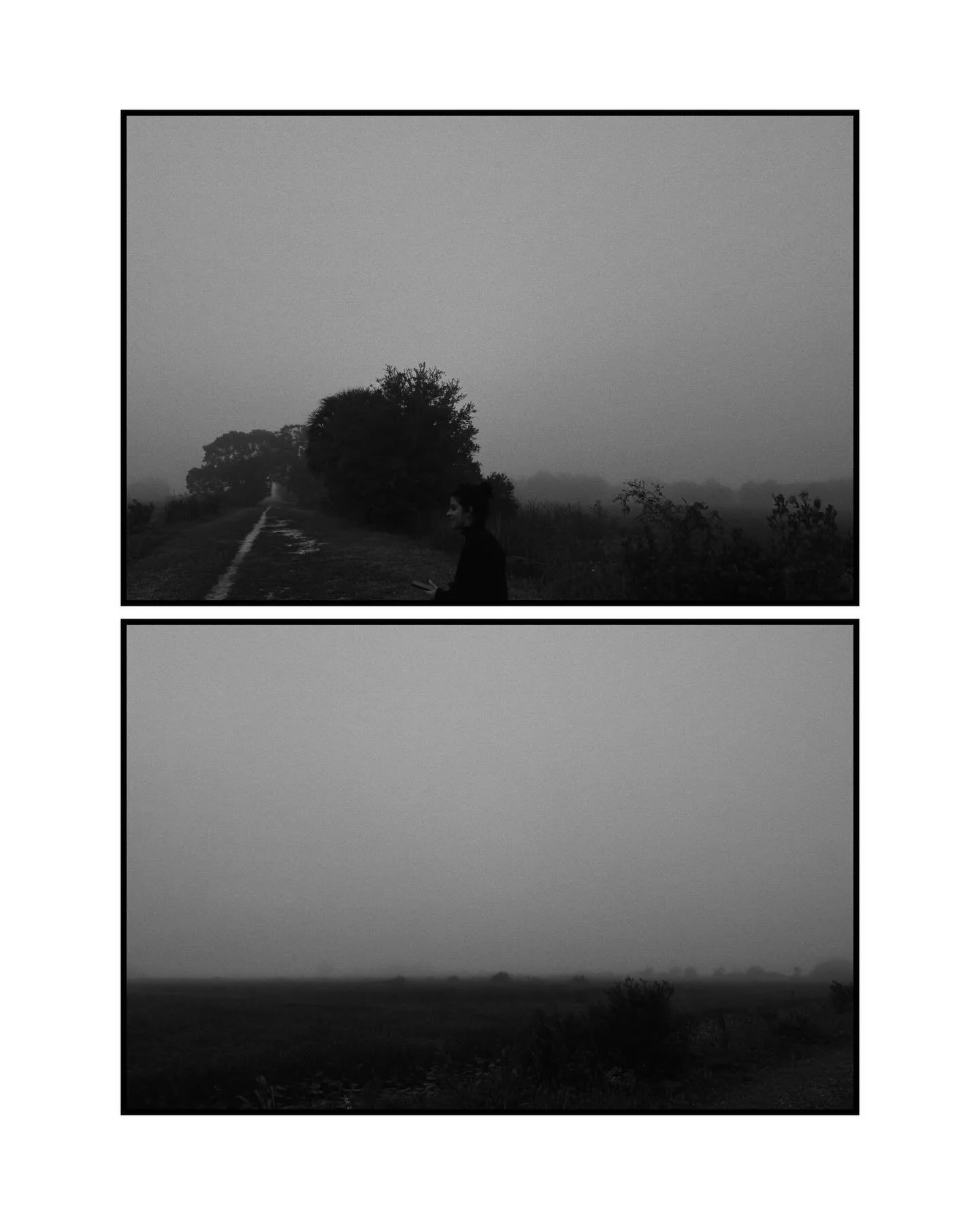 Momentos capturados con mi celular resultando en fotos que con solo verlas me hacen sentir much&iacute;simo.

No es mentira eso de que la mejor c&aacute;mara es la que uno tiene en el momento y es que lo m&aacute;s que me llama de la fotograf&iacute;