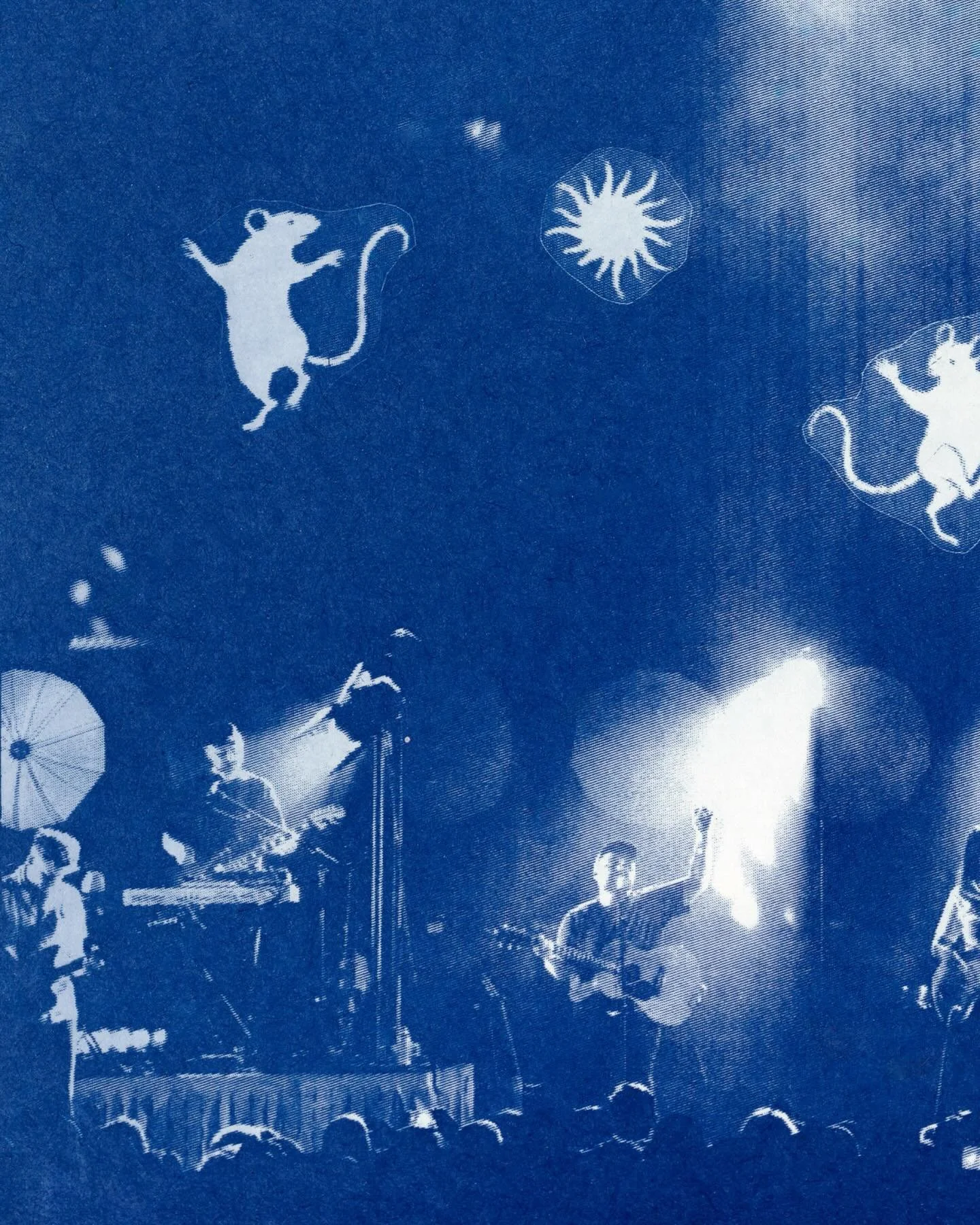 OMAM 🐀✨🍒🦇

#ofmonstersandmen #cyanotype #cyanotypeprint