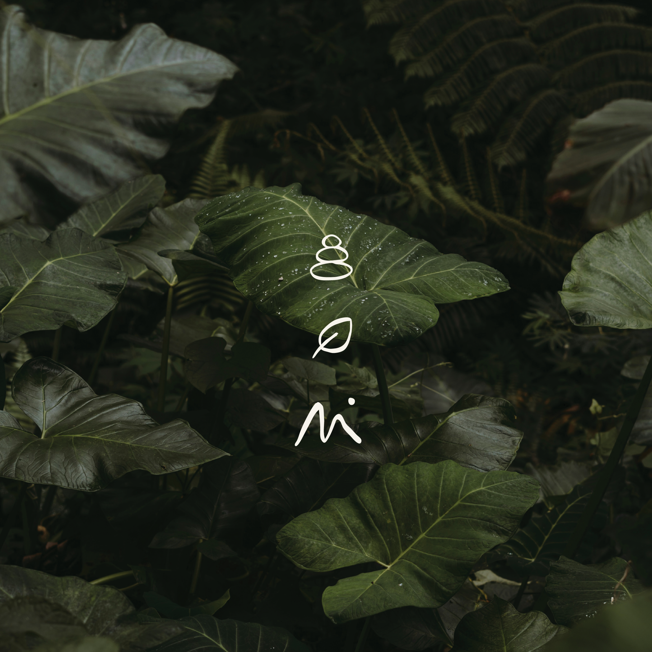 Wellness Logo and Branding-design-aglow-studio