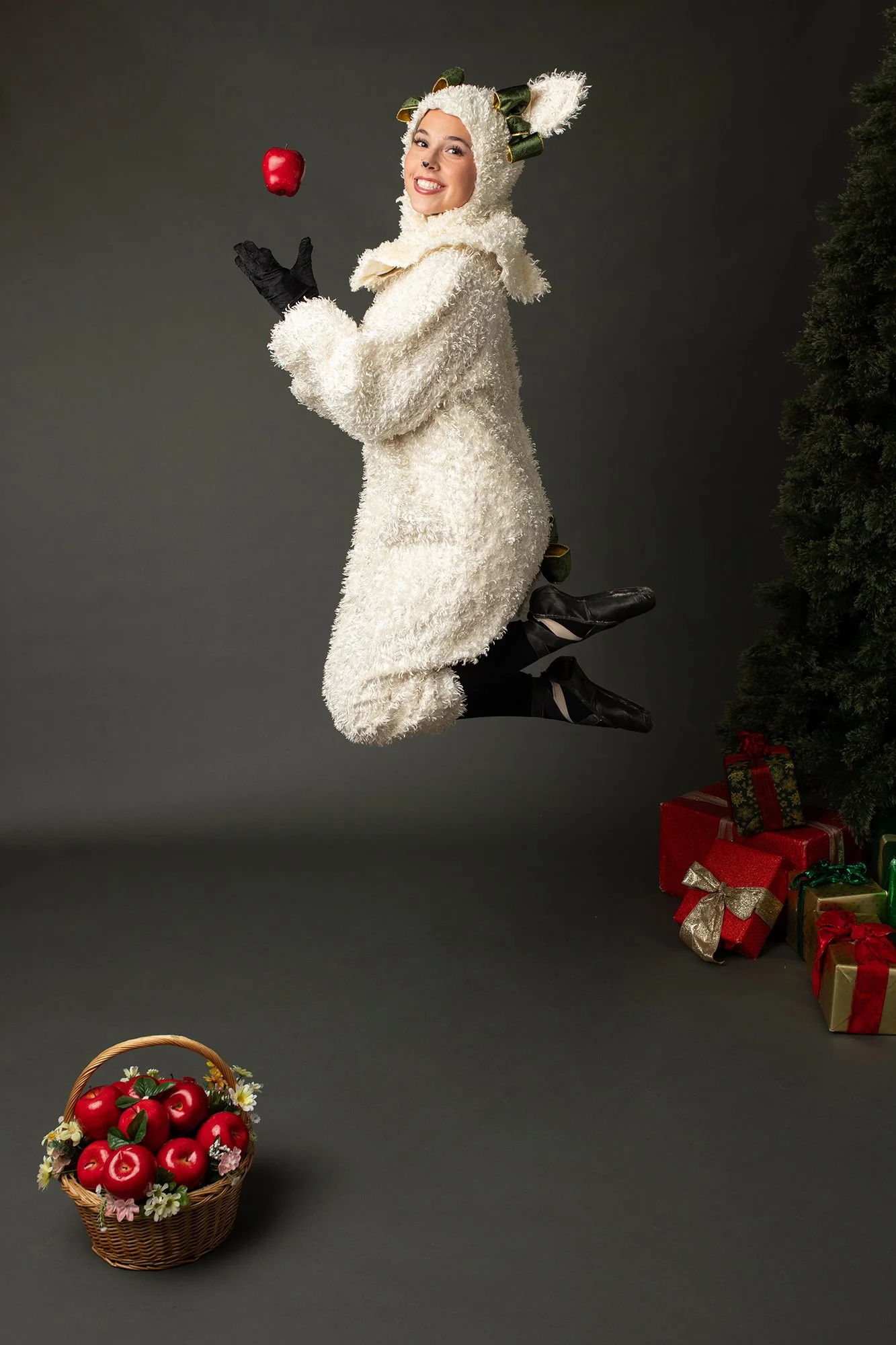 Nutcracker-sheep.jpg