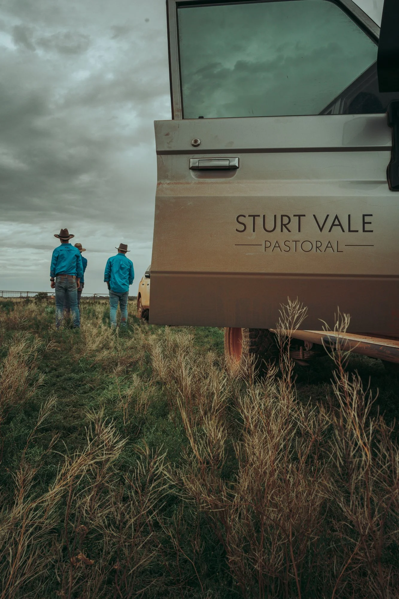 REGENERATIVE FARMING