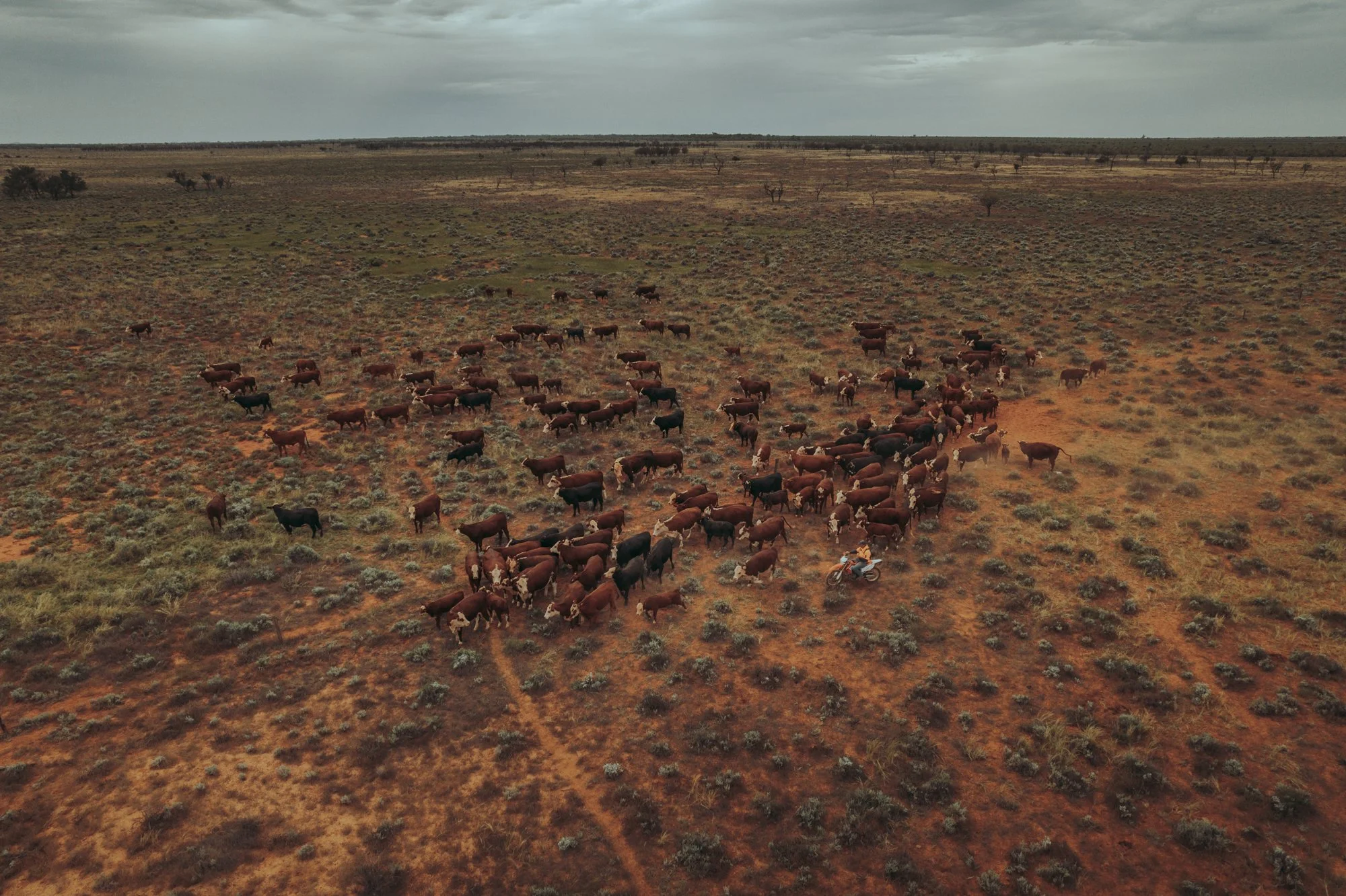 DJI_0035.JPG