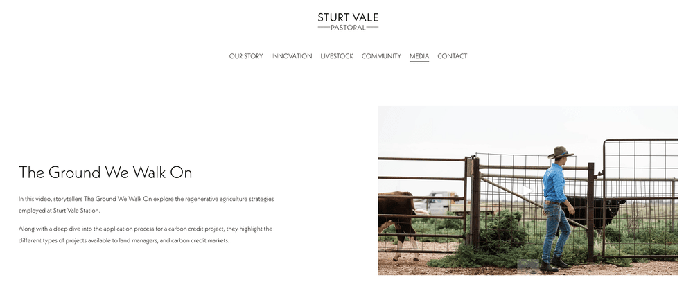 Screenshot 2024-07-19 at 3.08.04 PM.png