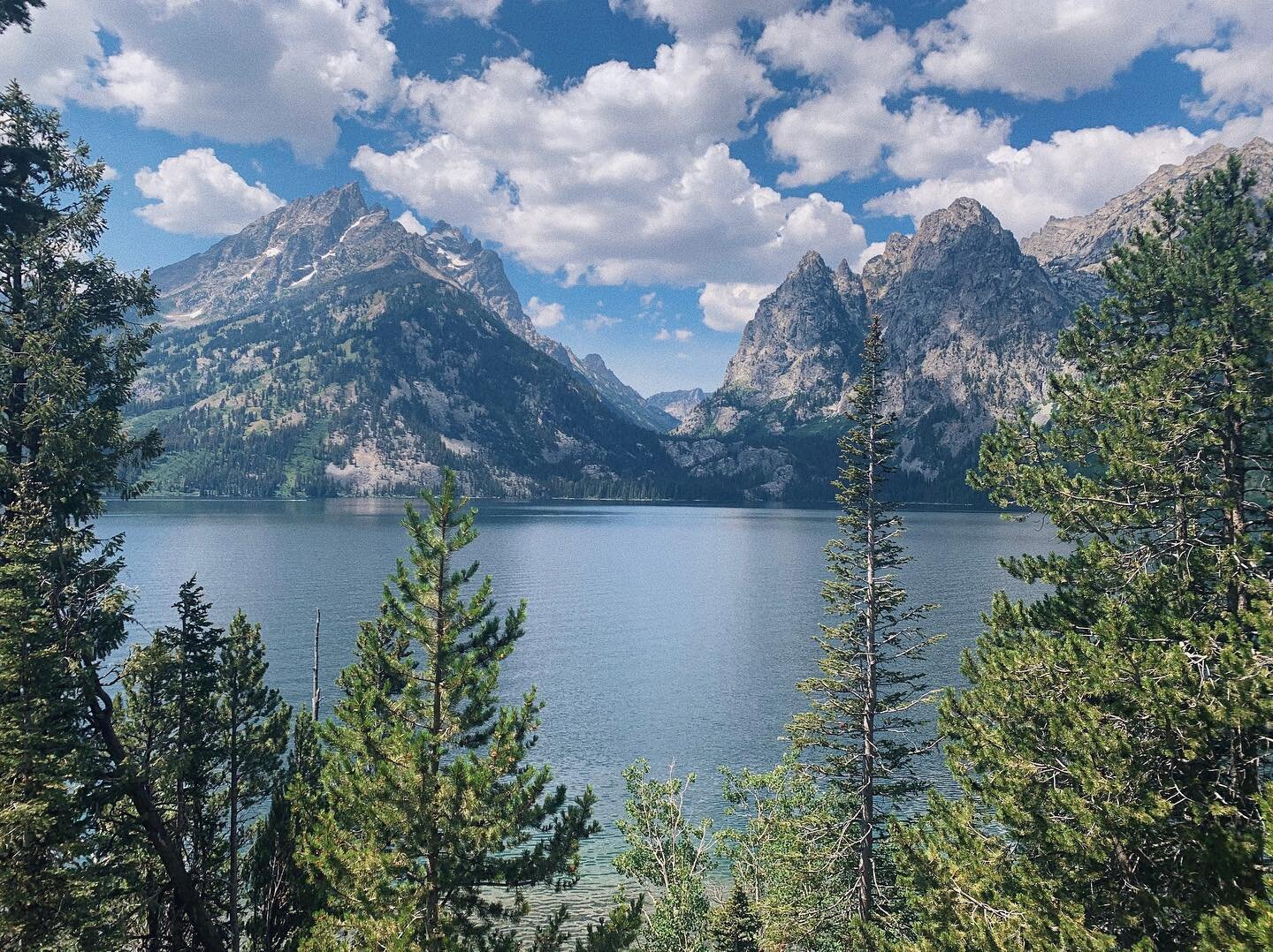 “thousands of tired, nerve-shaken, over-civilized people are beginning to find out that going to the mountains is going home; that wildness is a necessity”
- john muir, our national parks
.
.
.
#photography #photographer #photooftheday #p