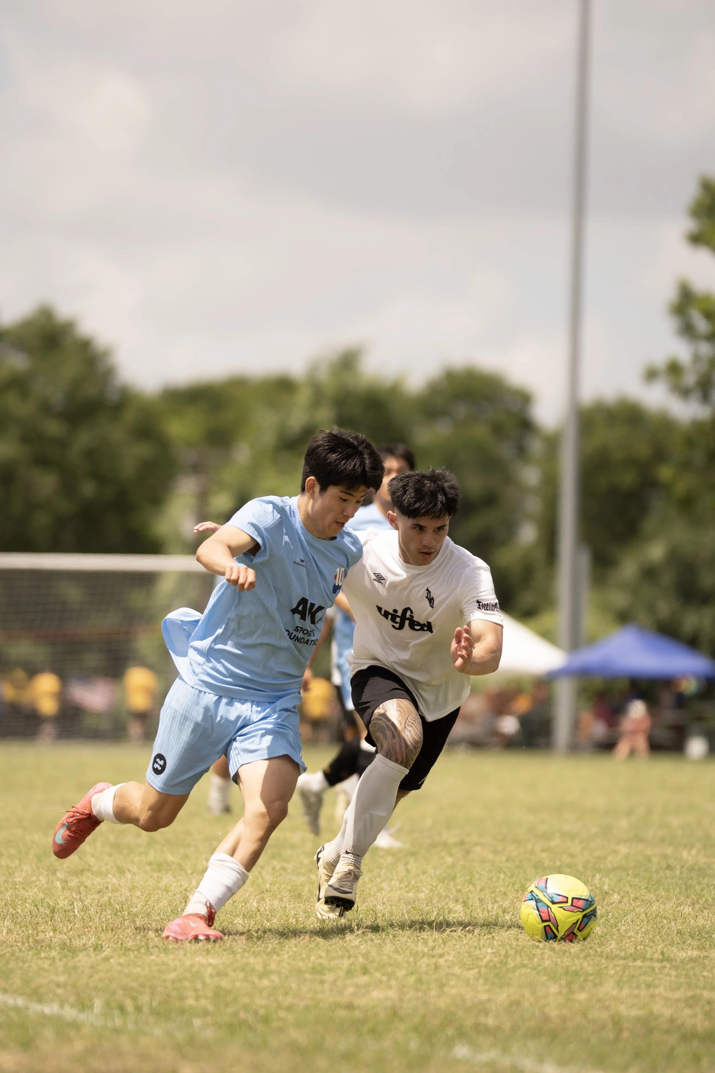 133-DSC01313.jpg