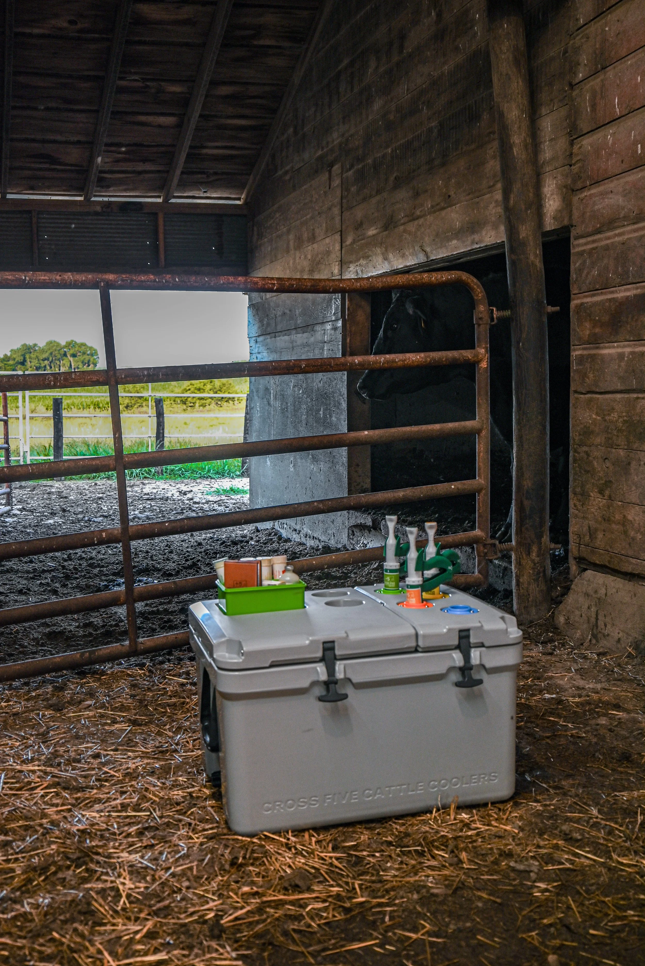 CFCC4 Closed In Barn Pen with 99.jpg
