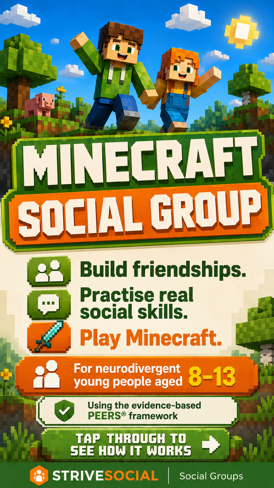 Minecraft Social Group
