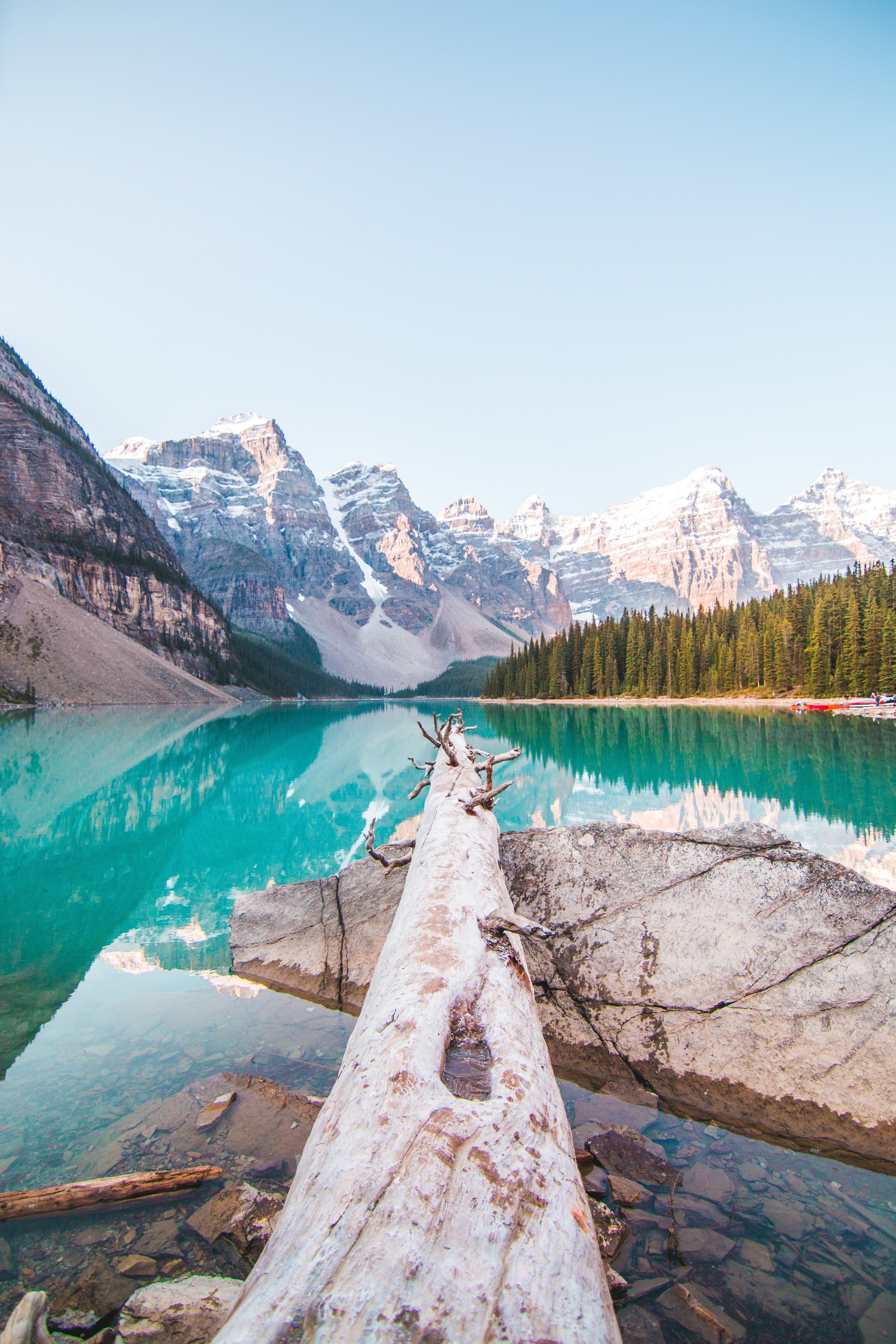 pexels-jaime-reimer-2662086.jpg