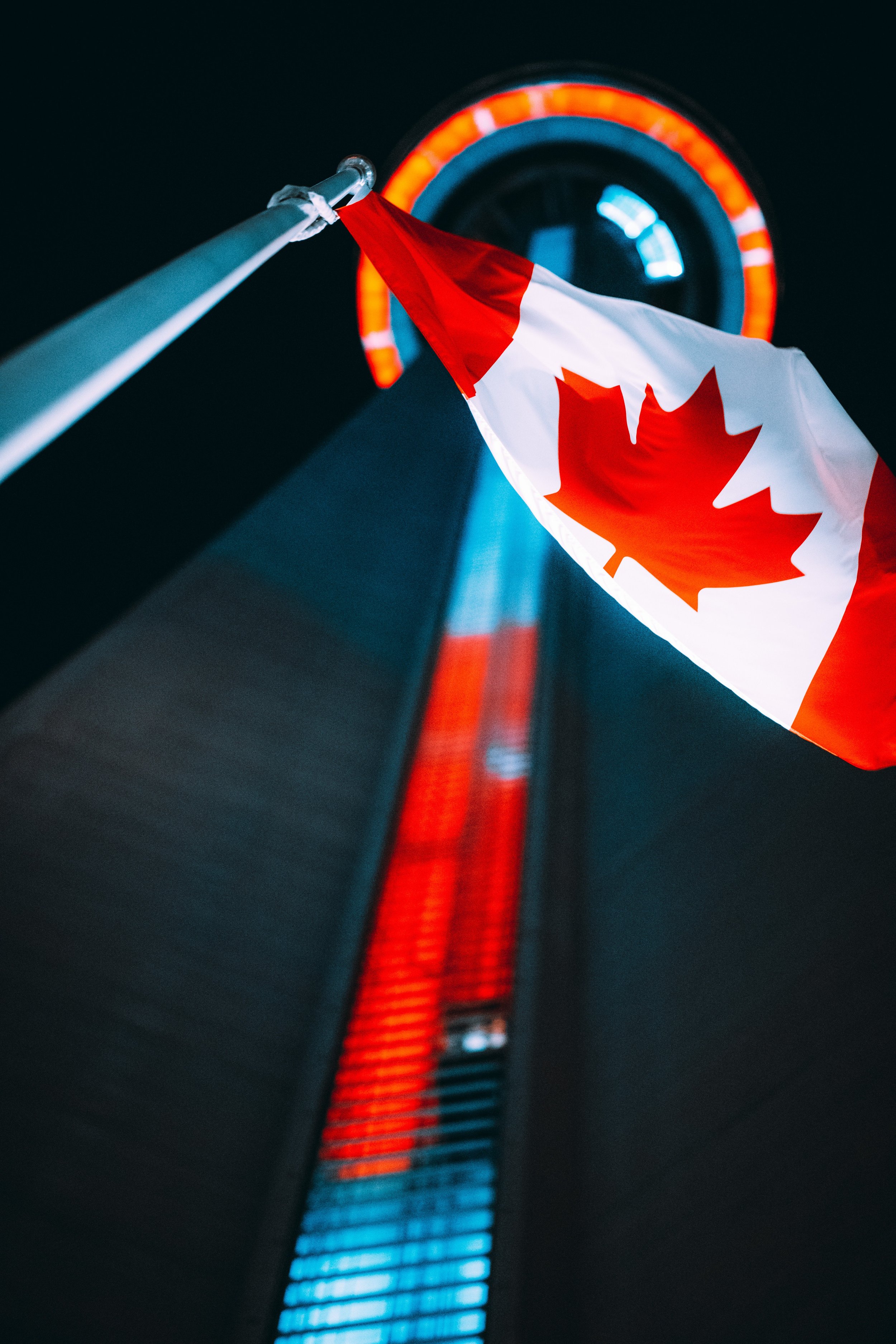 pexels-laurence-hamdy-13061206.jpg