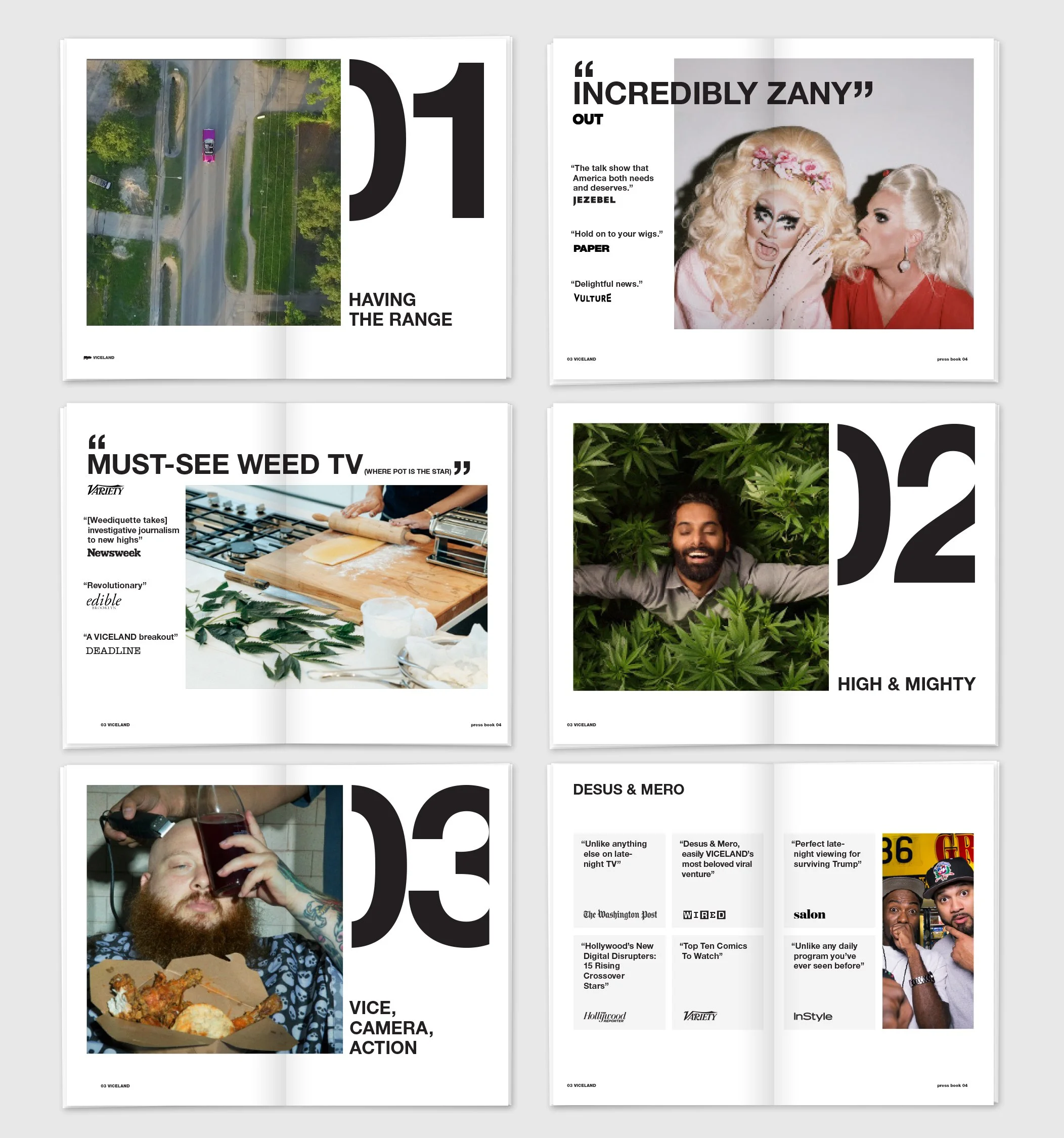 Vice_Press_Mock2.jpeg