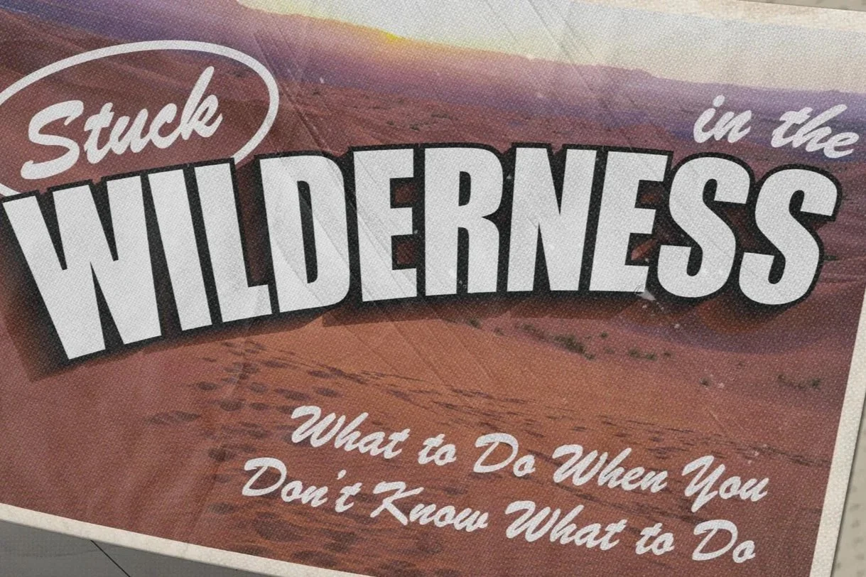 Stuck in the Wilderness Graphic