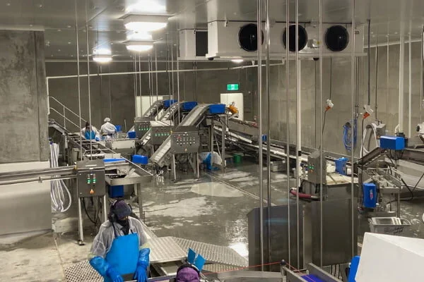 New state-of-the-art mussel factory for EP Seafoods
