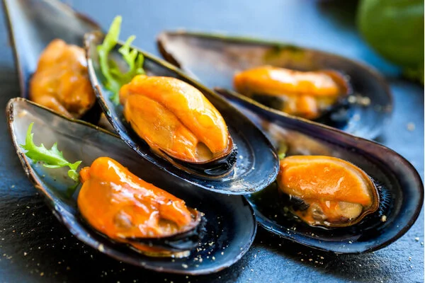 Are mussels good for you?