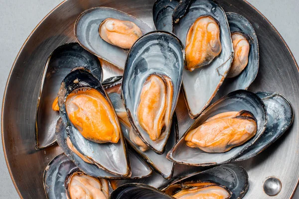 Why mussels make the most sustainable seafood choice