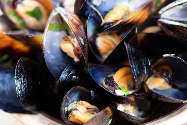 The health benefits of mussels