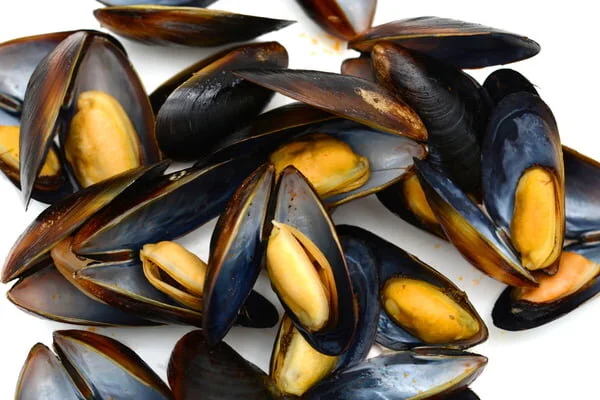 Sustainable mussels - good eating begins at home