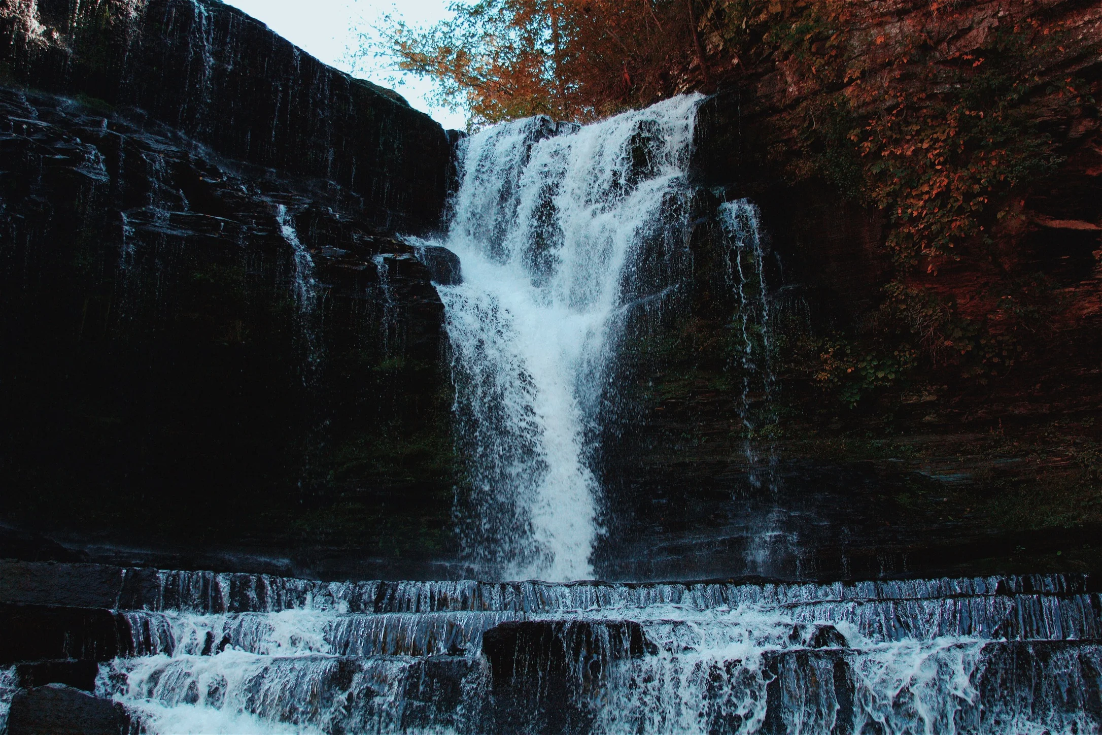 image5.jpg