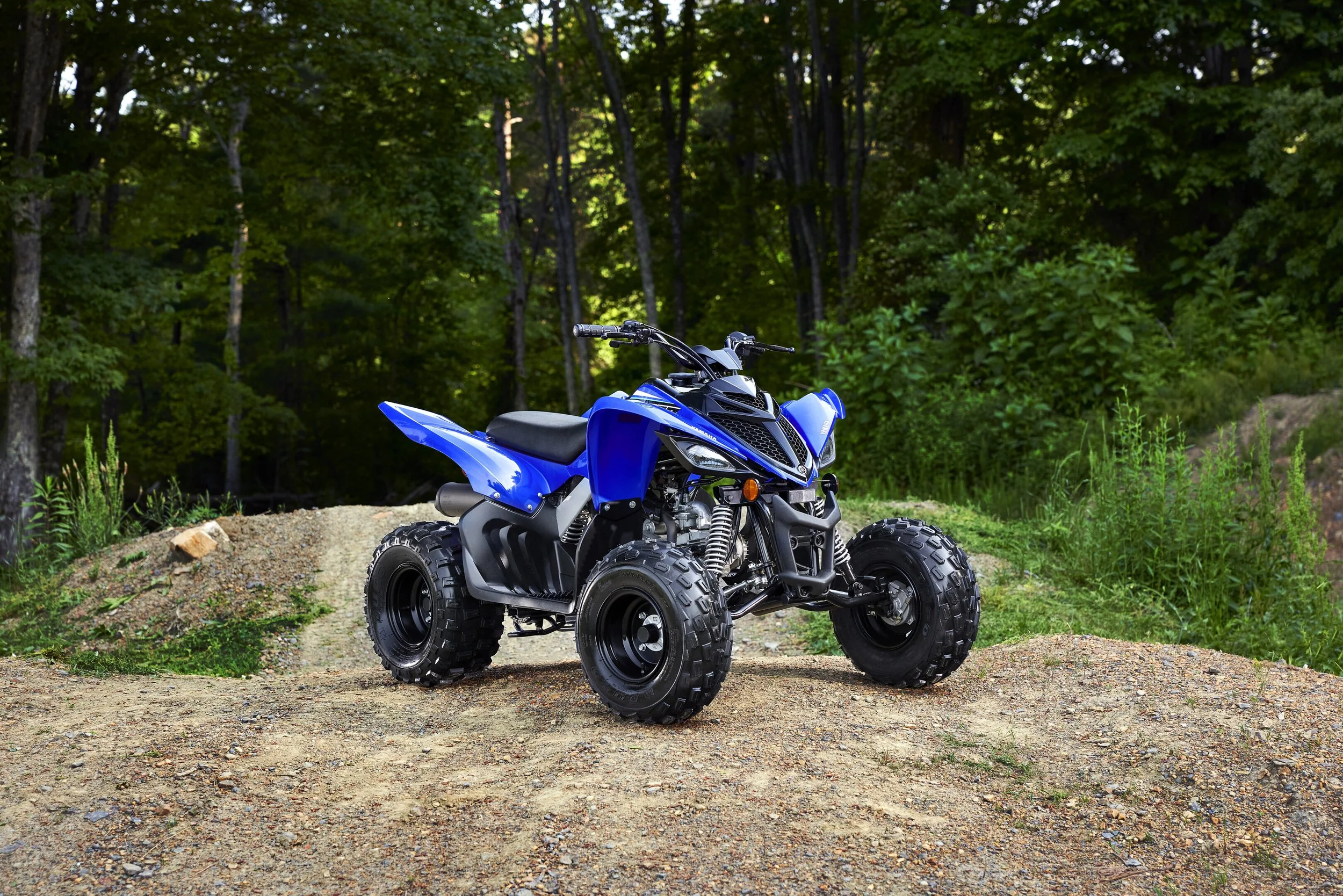 YFM90R Raptor 90 — SunCity Yamaha