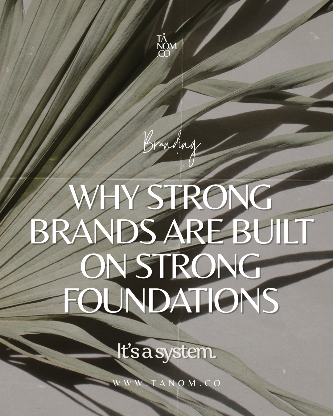 Your brand is a system designed to support the work you're here to do