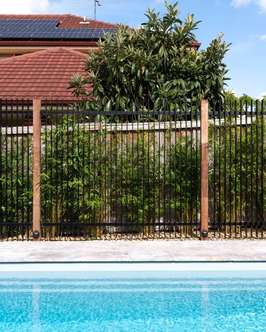 Give this space a few weeks, and there will be a green and luscious bamboo screen creating privacy for these clients' backyard🌿

Pool shell @bombora_pools 
Valas Marble @artisanexterior.au

 #techscapes #landscper #sydneylandscaper #backyard #pool #