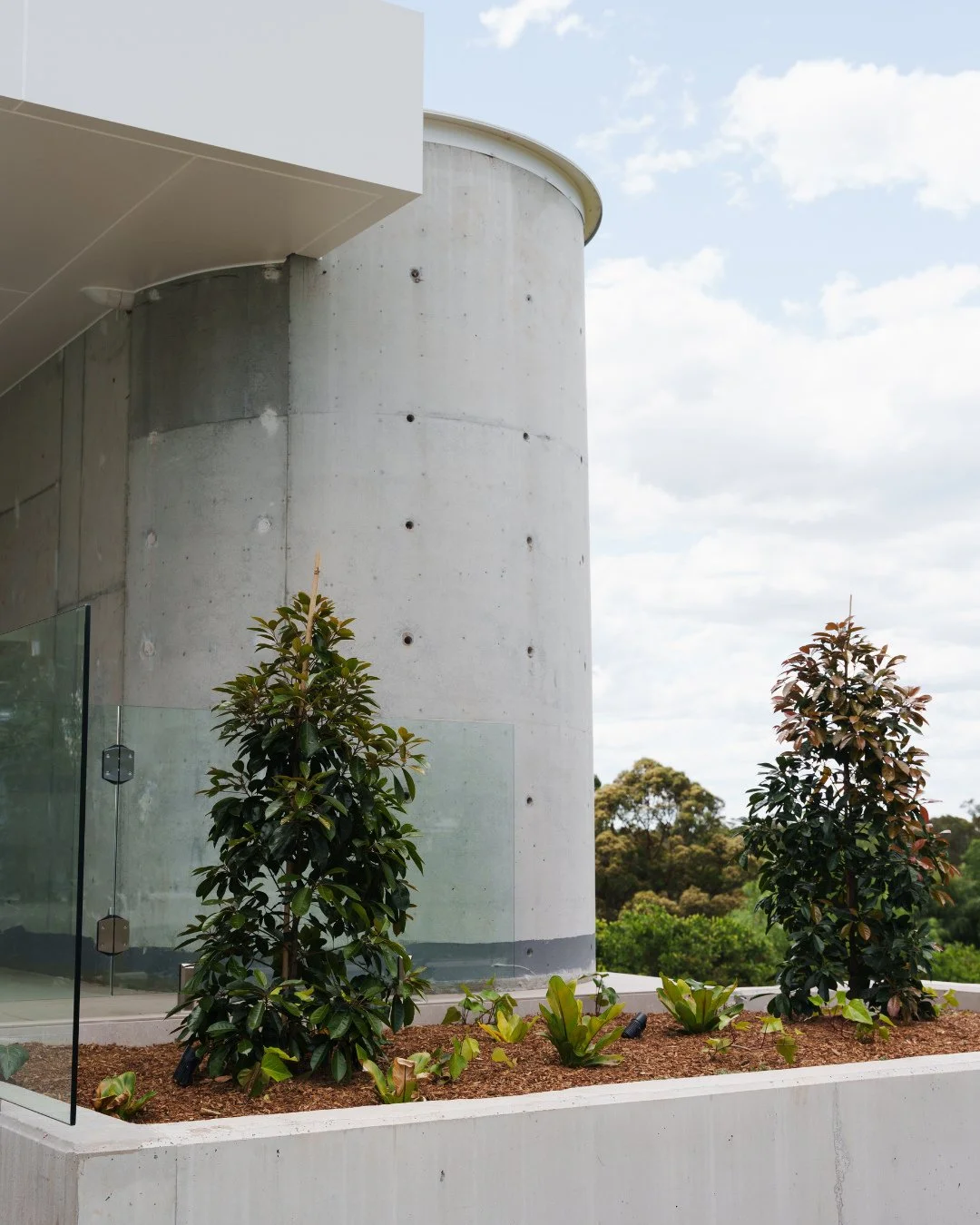 In our latest Grasmere project, we carefully selected plants that are easy to maintain while still creating a rich, luxury landscape. The end result is one we absolutely love.