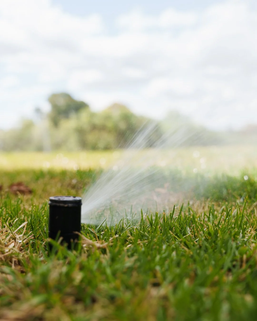 It's the finishing touches that make all the difference!⁠
⁠
Quality service is key for our team. We've made sure to give our client at Grasmere beautifully green lawns that they can enjoy all year round!