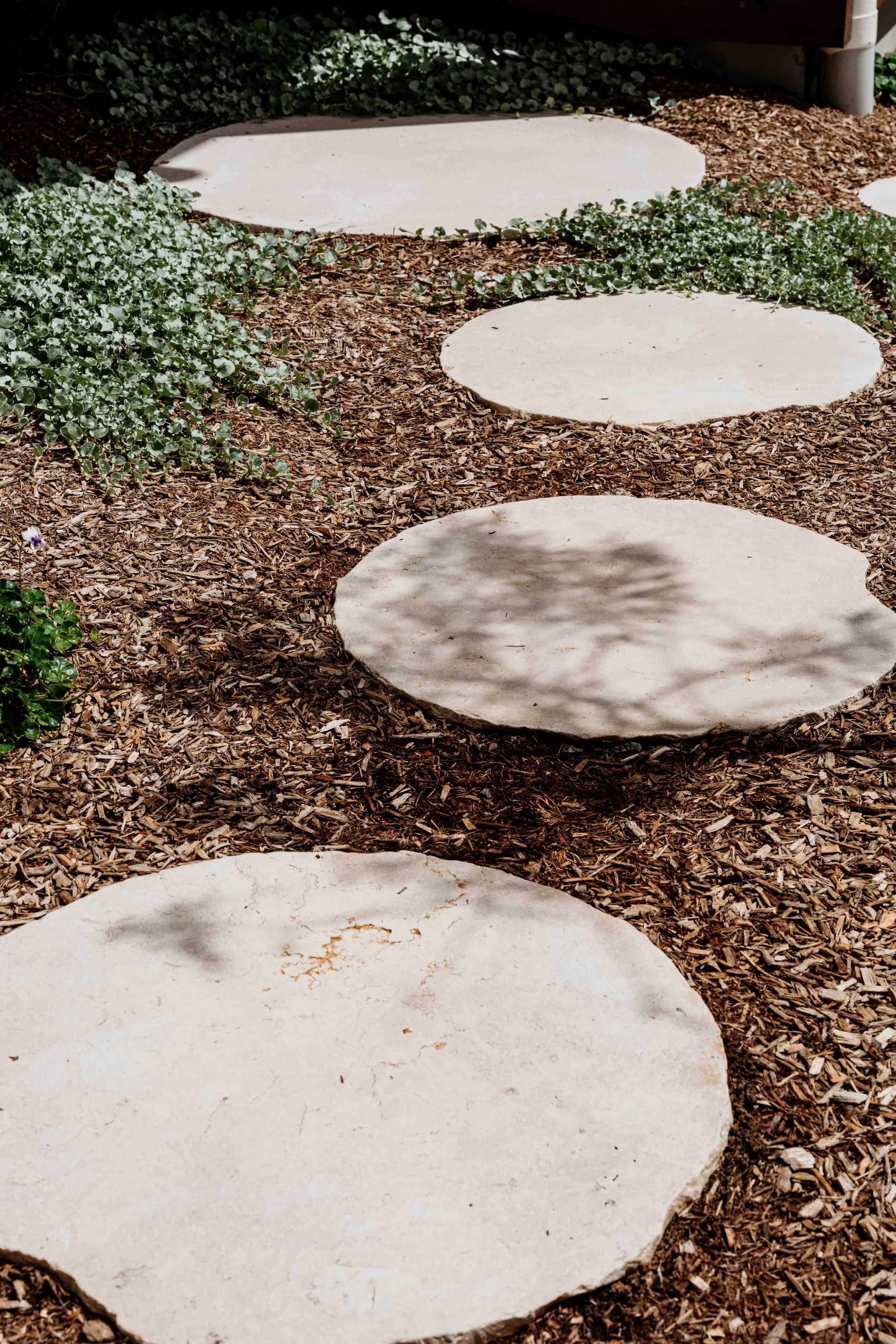 Techscapes-the-oaks-21.jpg