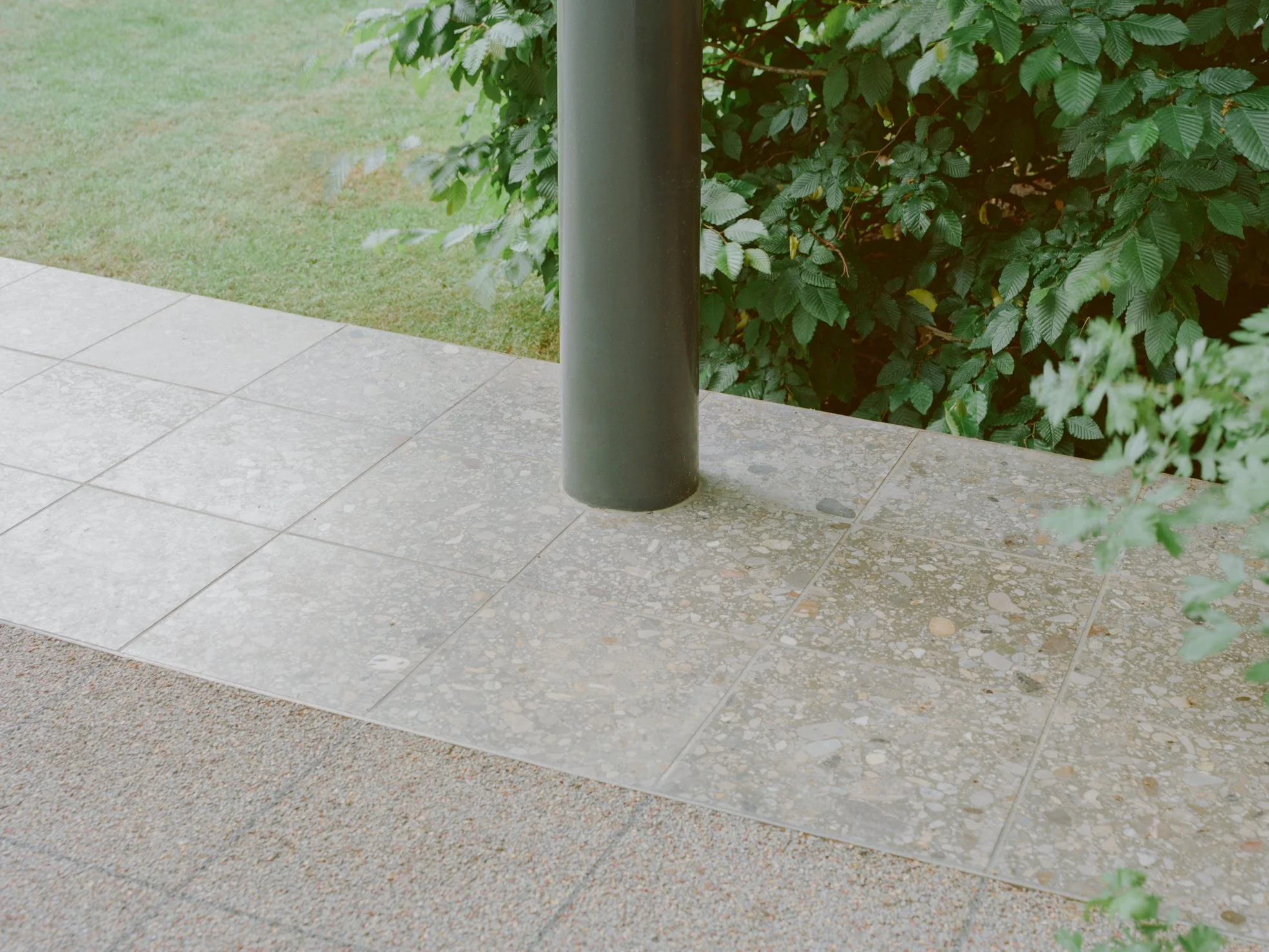 NA ER © LZ 2025-9.jpg