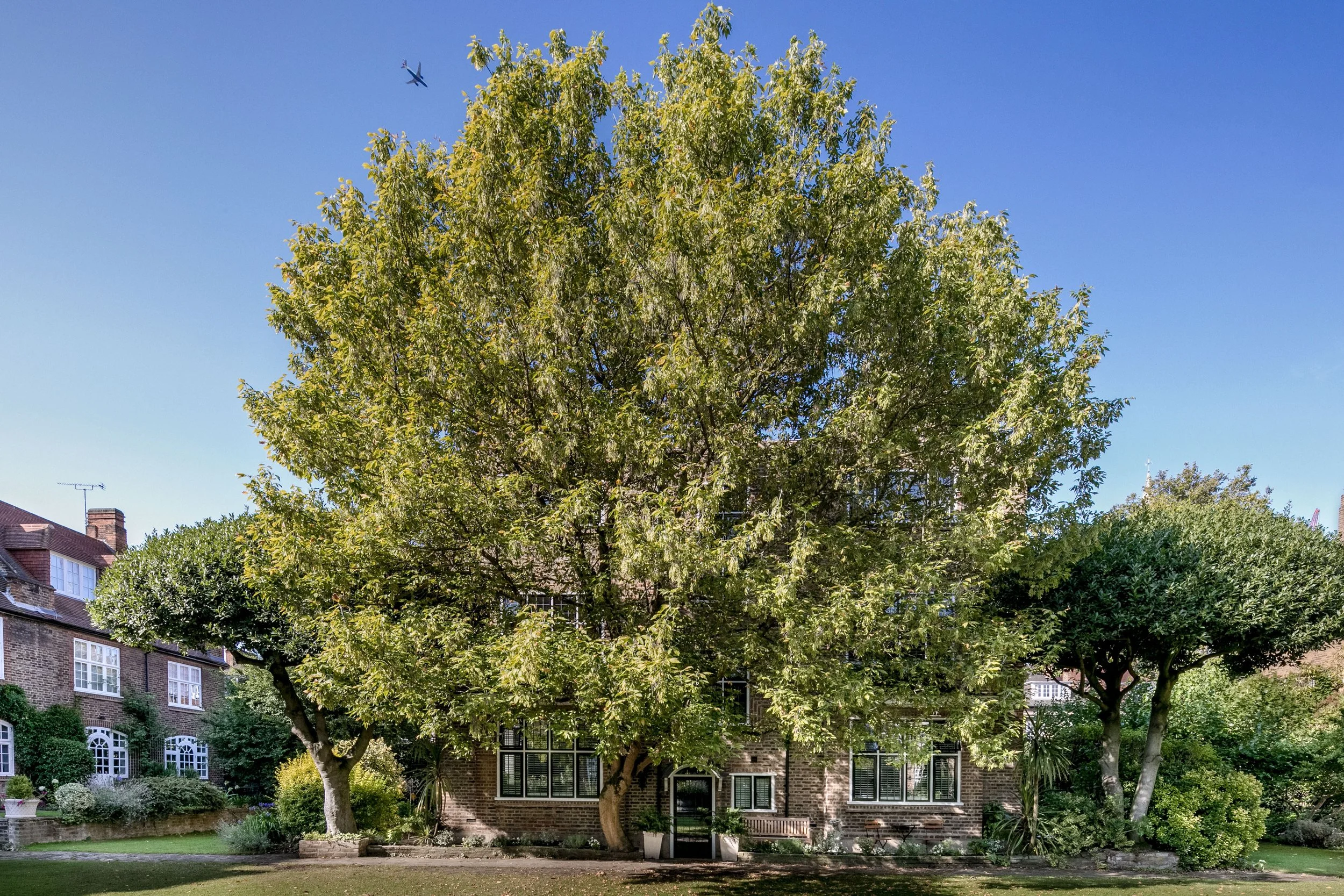 HH_Plus_Chelsea Park Garden_Exterior_HR-8.jpg