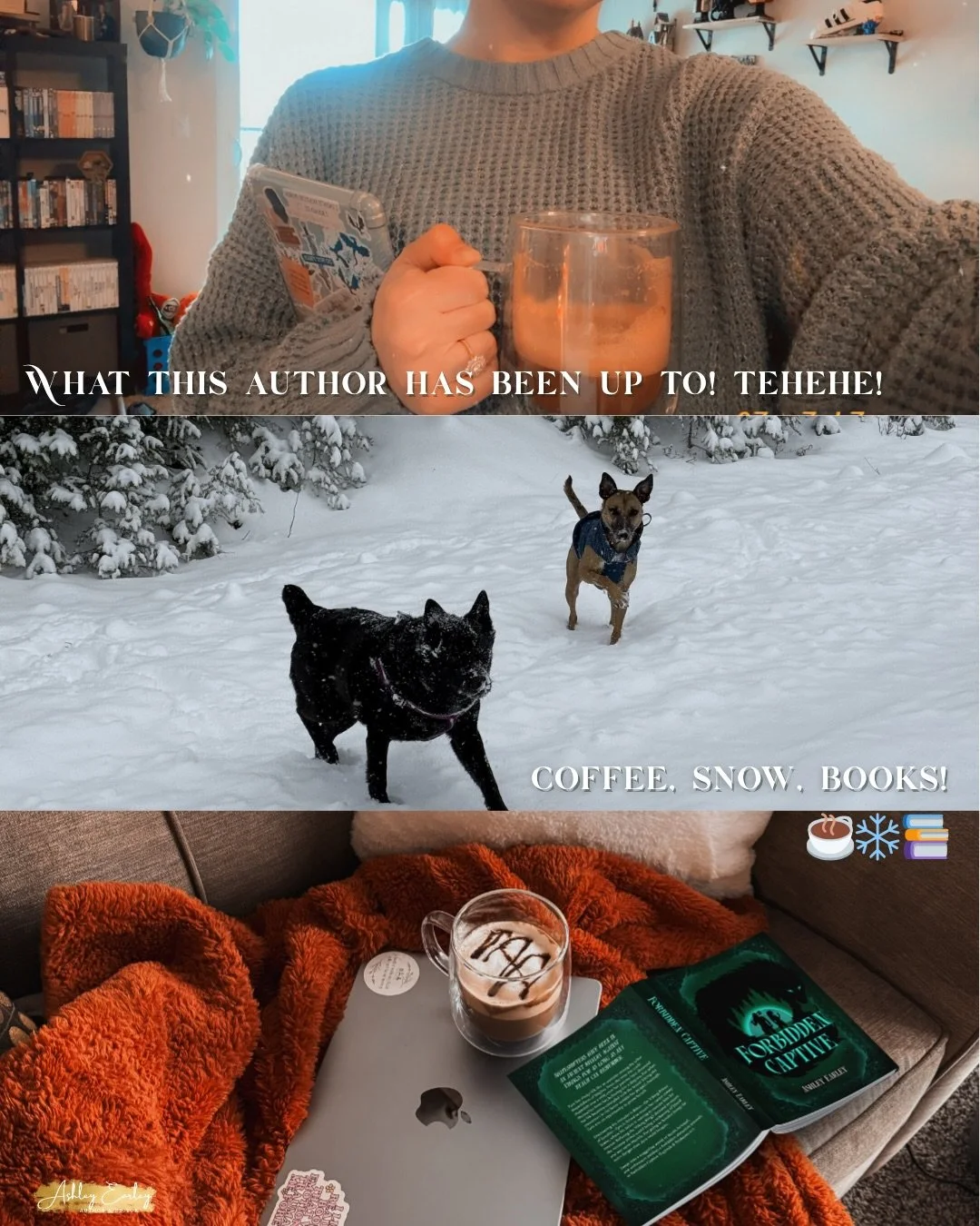 ✨behind the scenes✨

Goodness, I&rsquo;ve been up to so much it&rsquo;s hard to keep up with!

I&rsquo;ve ordered 115 books in preparation for the release of Treacherous Sand since I have pre-orders, signings, and orders from bookstores to fulfill. D