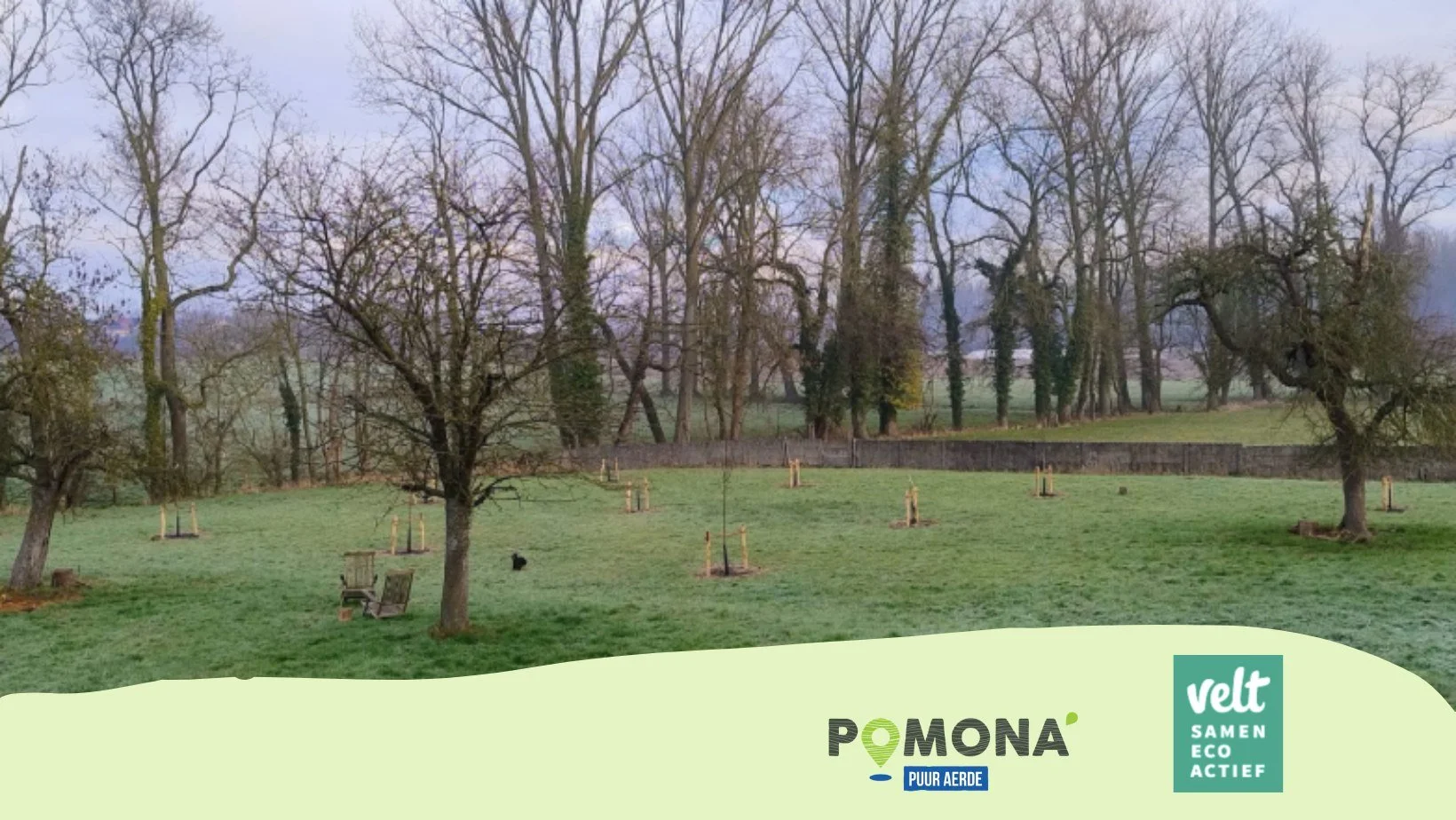 Workshop vormsnoei (fruitbomen)