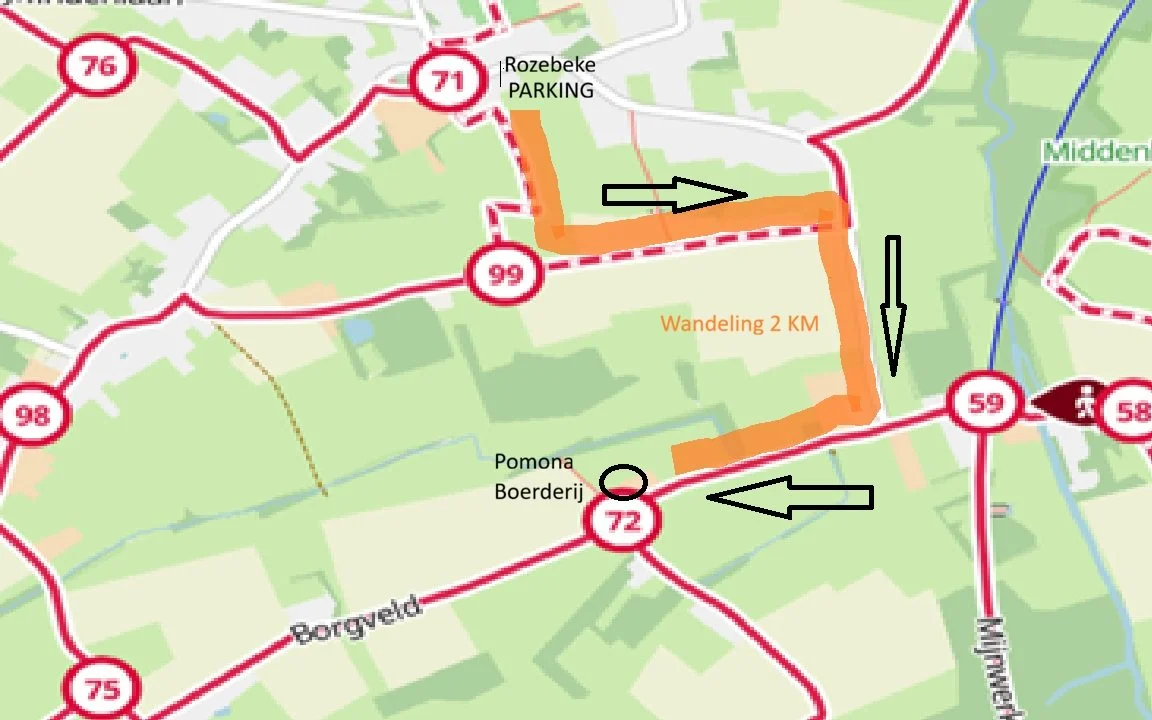 Wandeling Rozebeke 2026.jpg